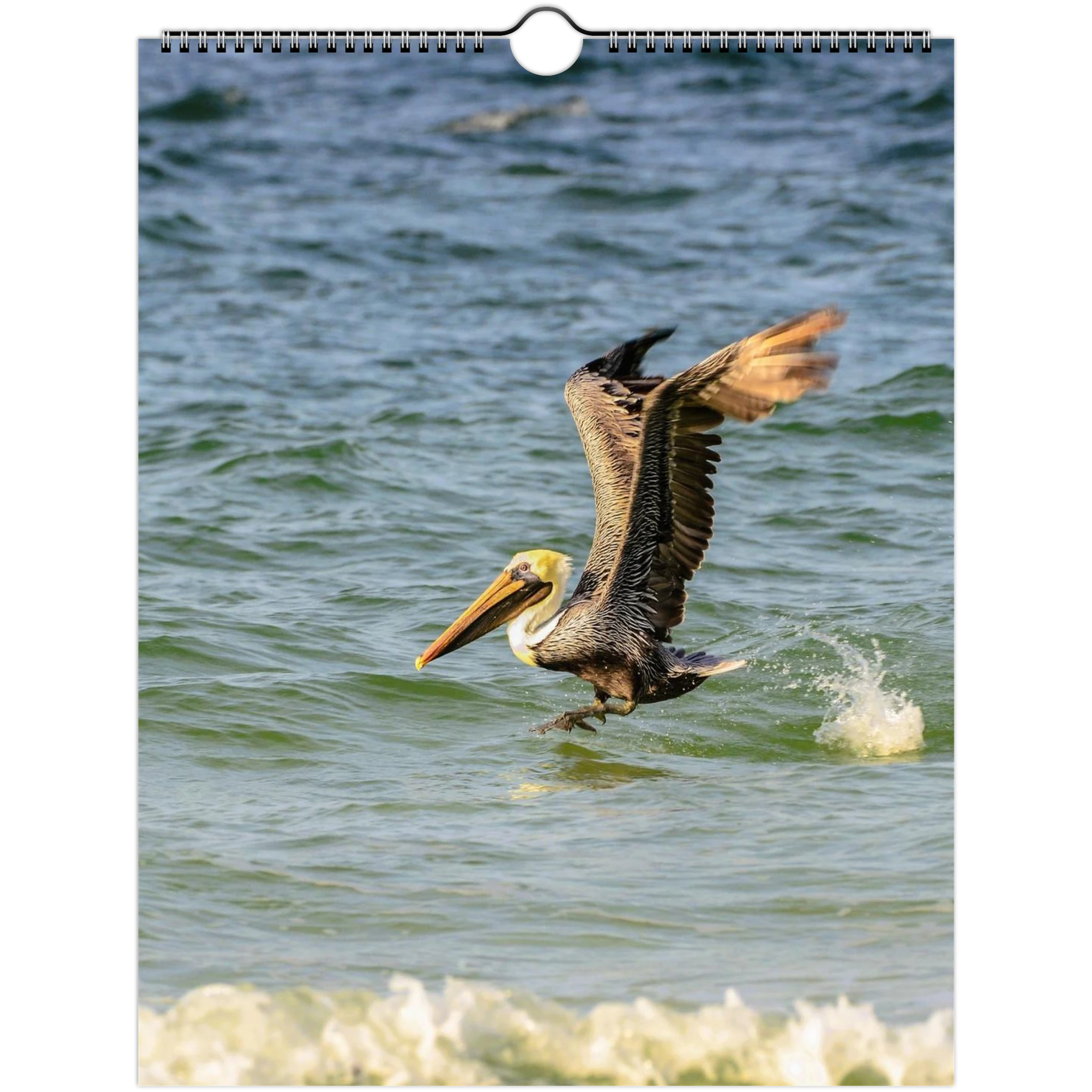 5052e215-1c68-42aa-ade2-f9918a6b03c3