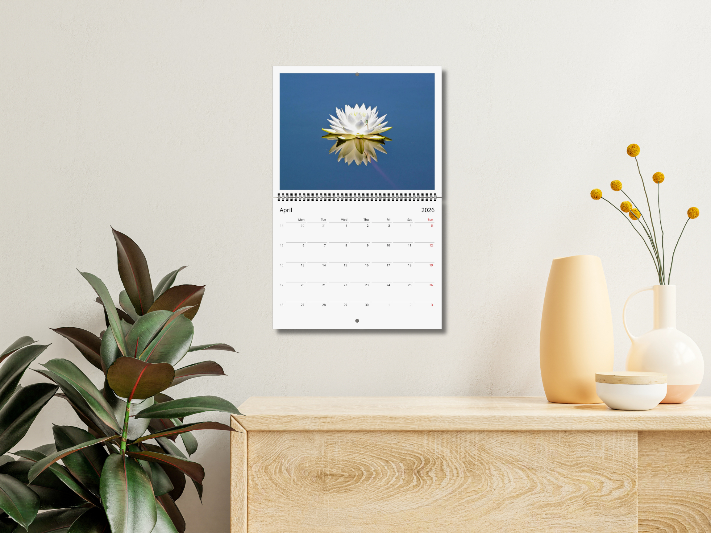 50af29ba-d3b6-4ed3-b0fa-c07c9ab12f61