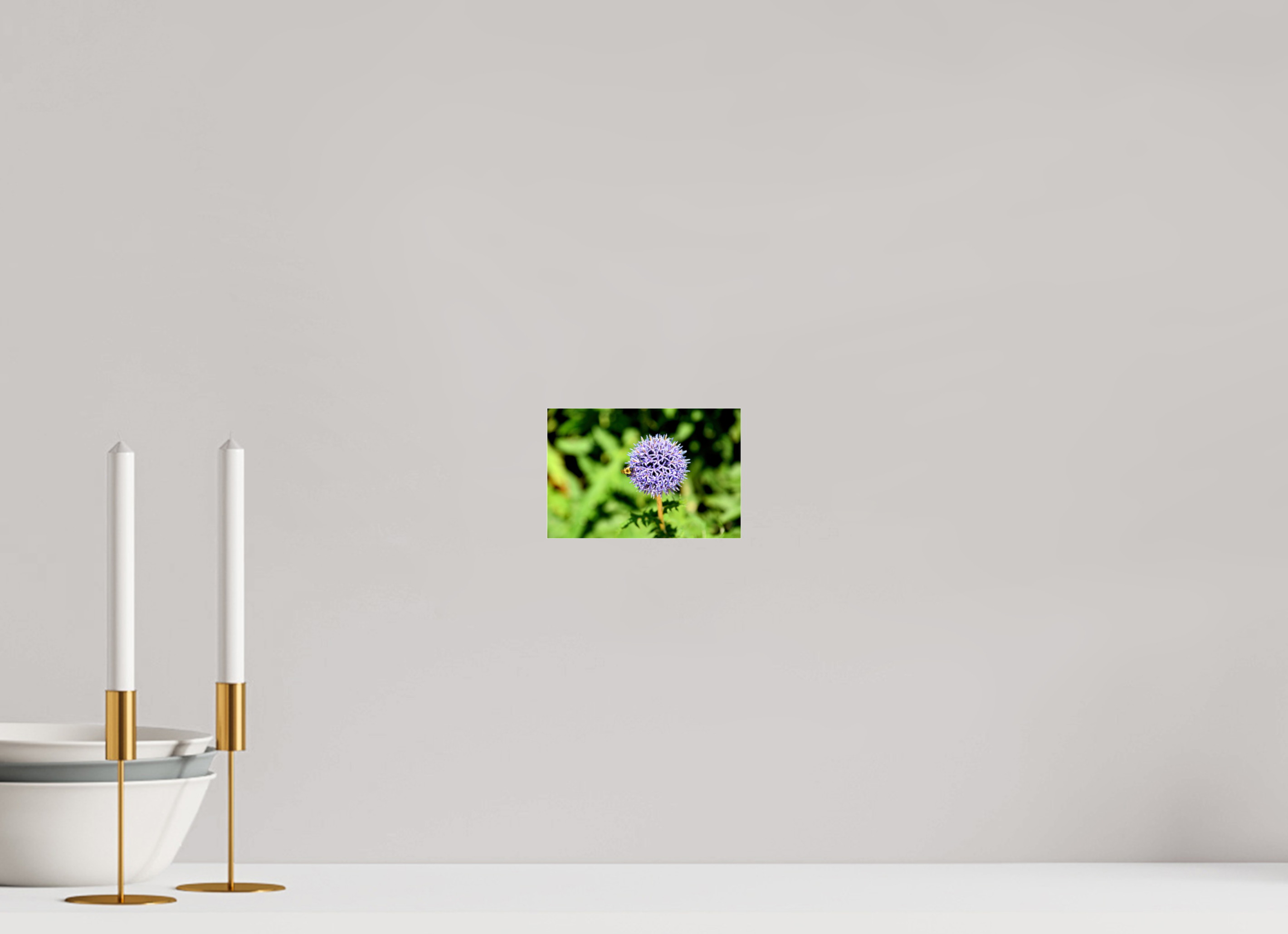 6 x 4″, Metallic Photo Print Under Acrylic Glass The Bee & The Globe Thistle (Echinops)