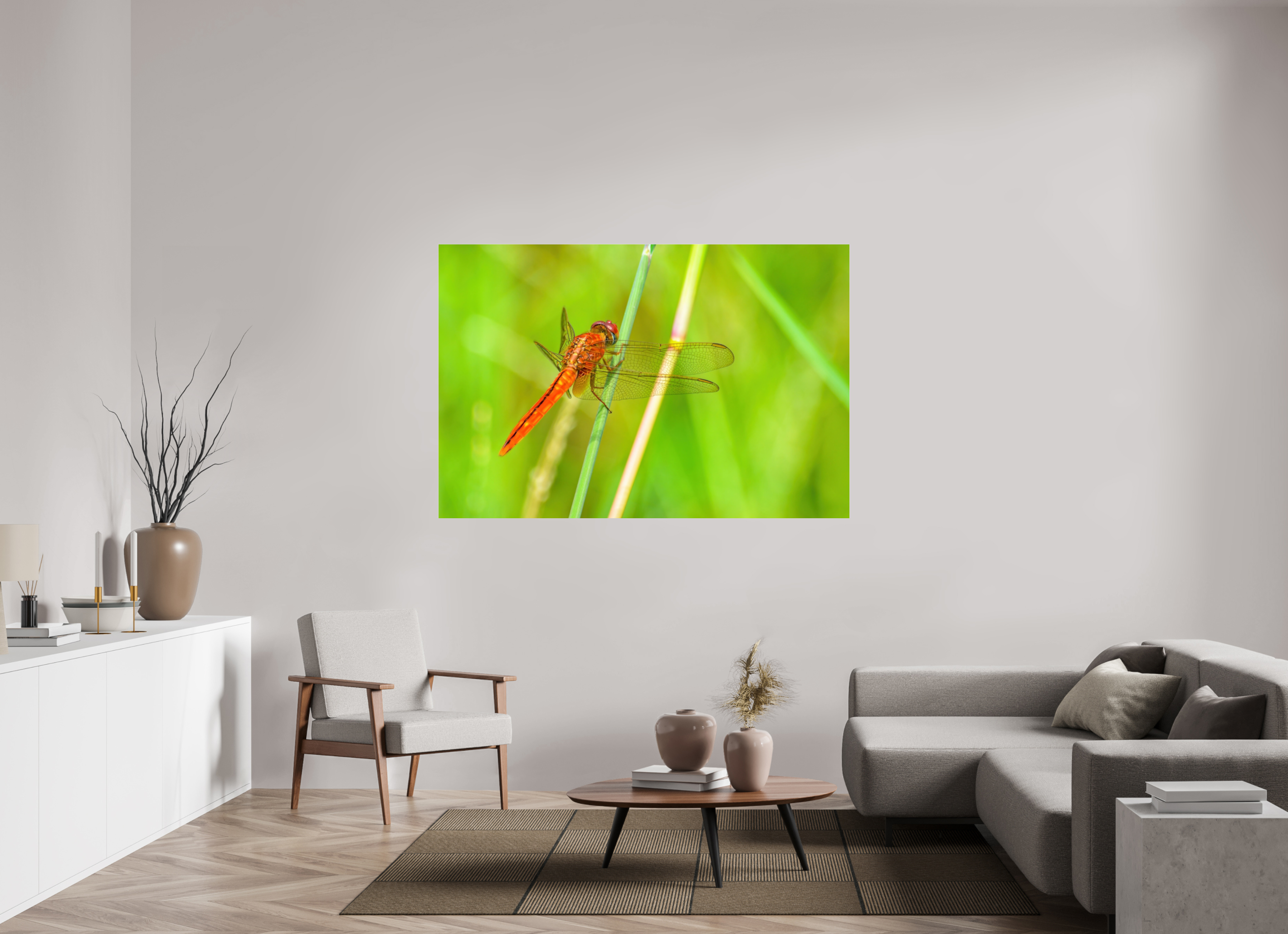 66 x 44″, Photo Print Fuji Crystal Archive Under Acrylic Glass Resting Scarlet Skimmer