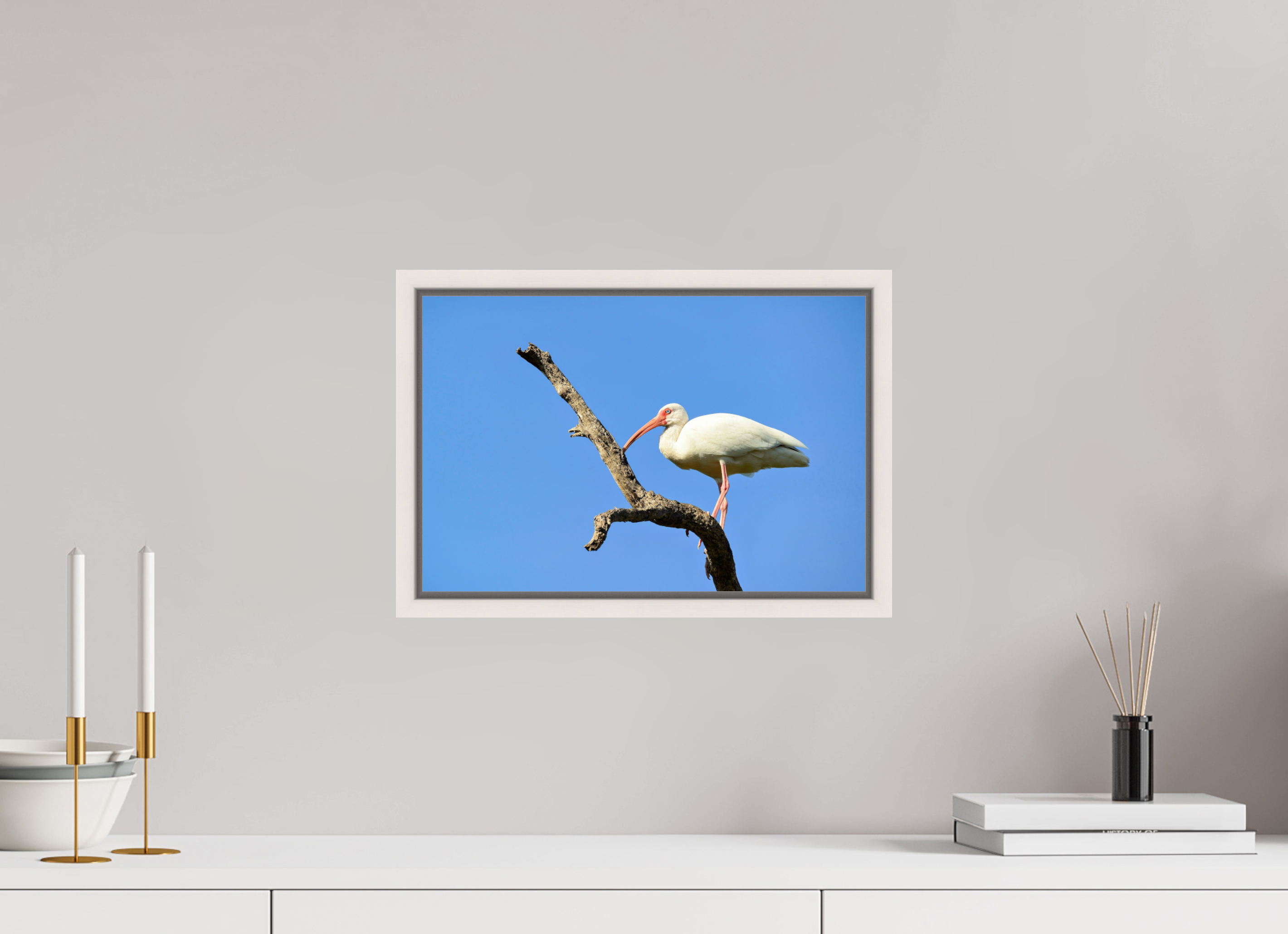 15 x 10″, Floater Frame, Basel 0.6", Maple White, Glossy Acrylic Glass Azure Solitude: The American White Ibis