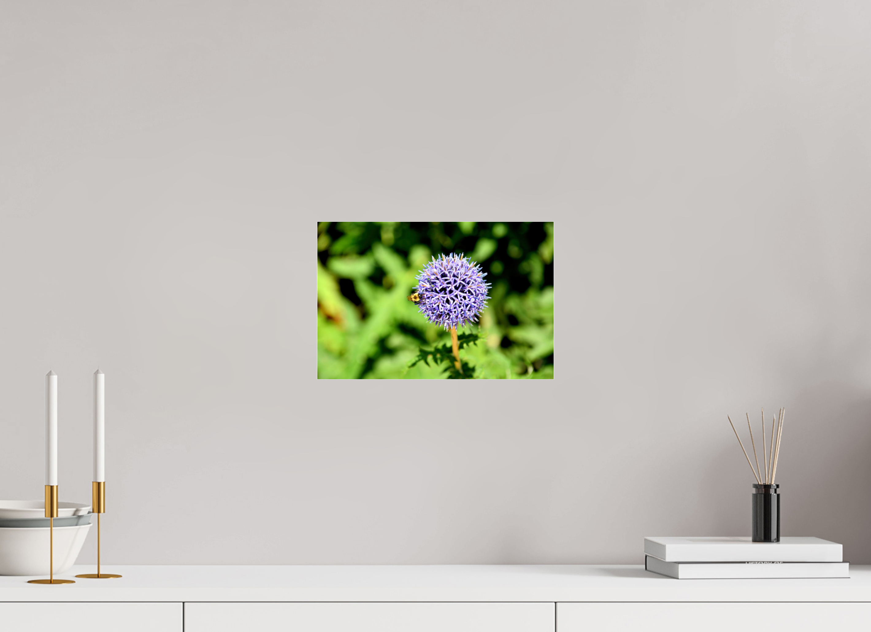 12 x 8″, Photo Print Fuji Crystal Archive Under Acrylic Glass The Bee & The Globe Thistle (Echinops)