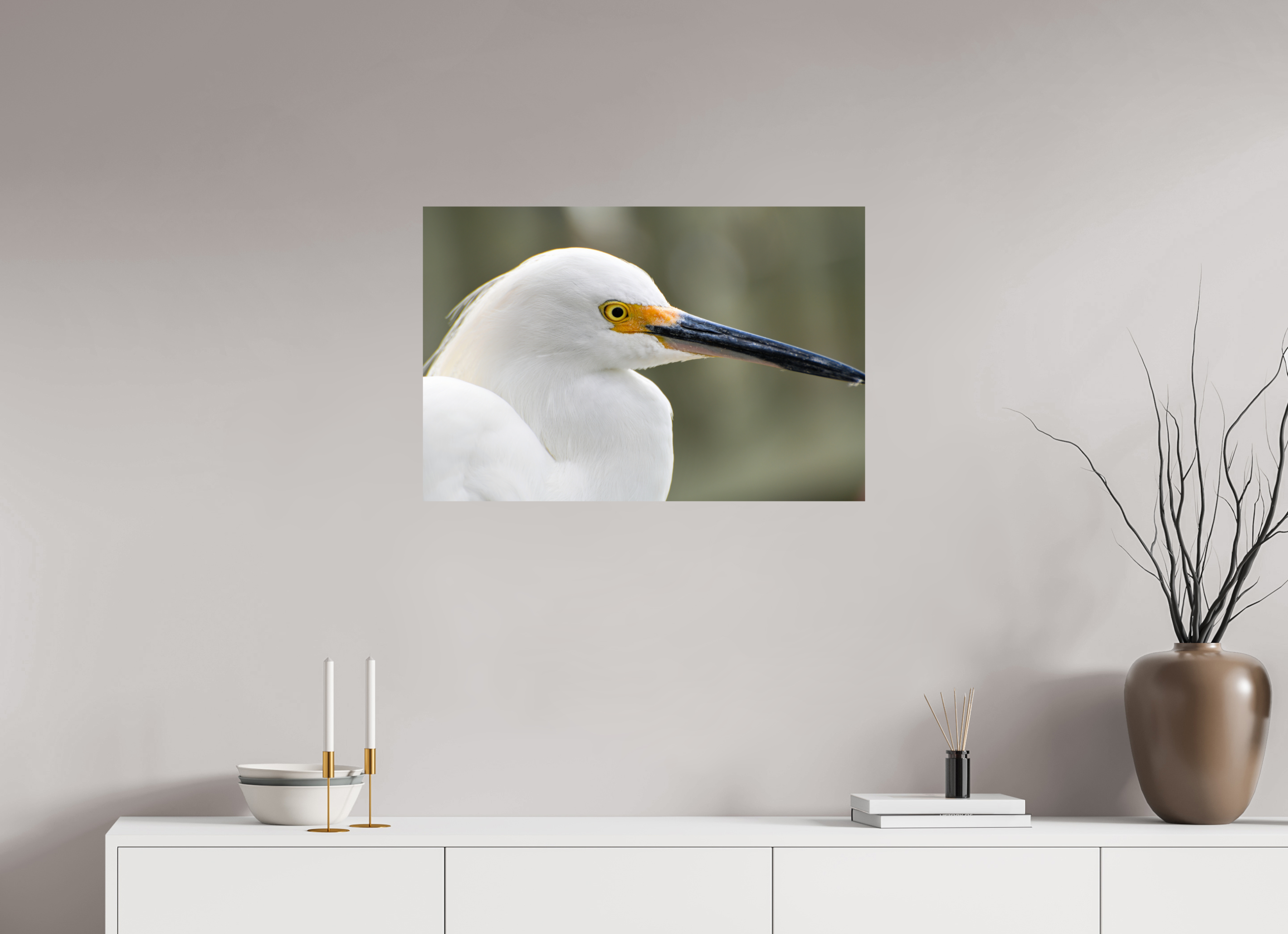 30 x 20″, Photo Print On Fuji Crystal DP II The White Plume: Snowy Egret Portrait
