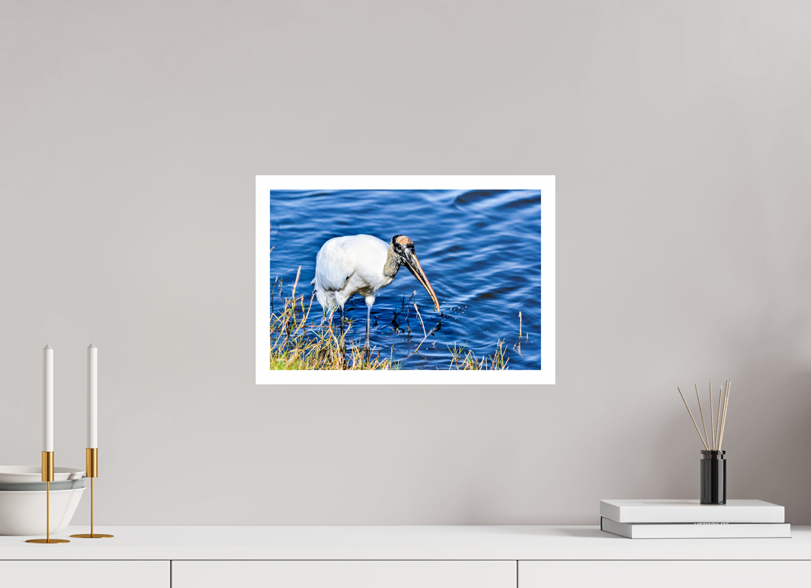 15 x 10″, Hahnemühle FineArt Pearl Print, .79" white border The Morning Catch: Wood Stork in Action
