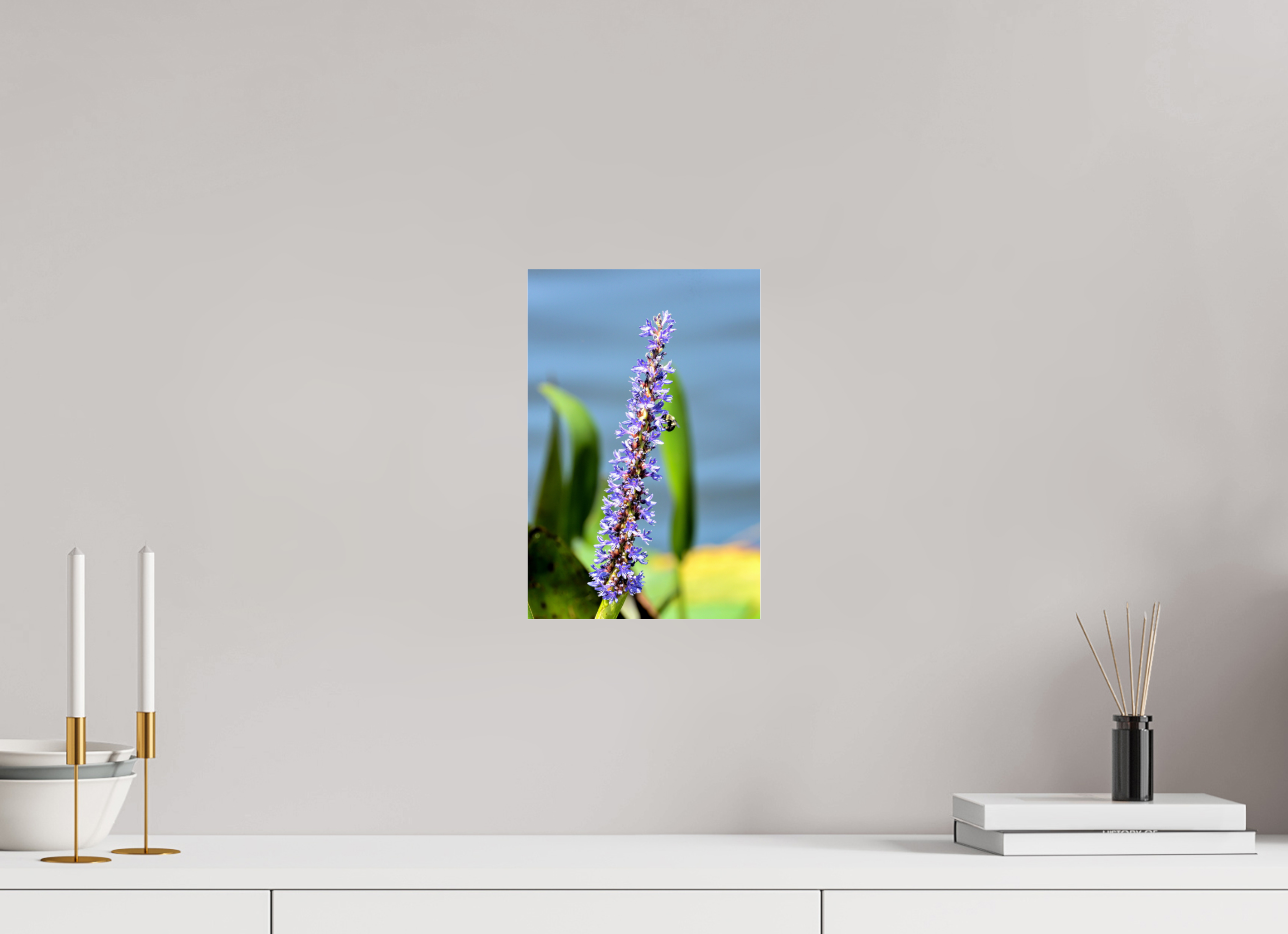 8 x 12″, Photo Print Under Acrylic Glass Bloom & Buzz