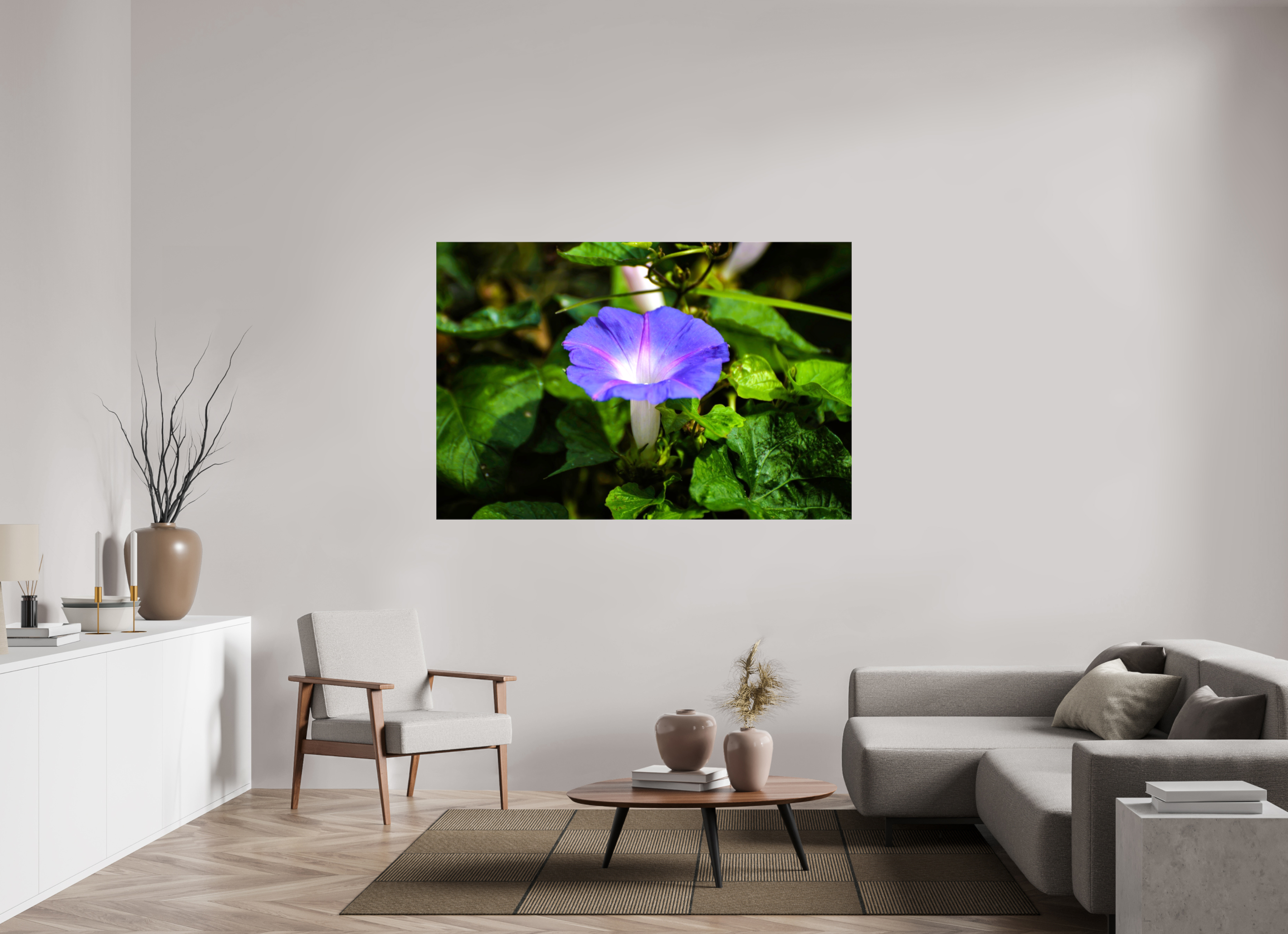 66 x 44″, Glossy Canvas on Stretcher Frame, 1,57" Wrapped Heavenly Blue Morning Glory