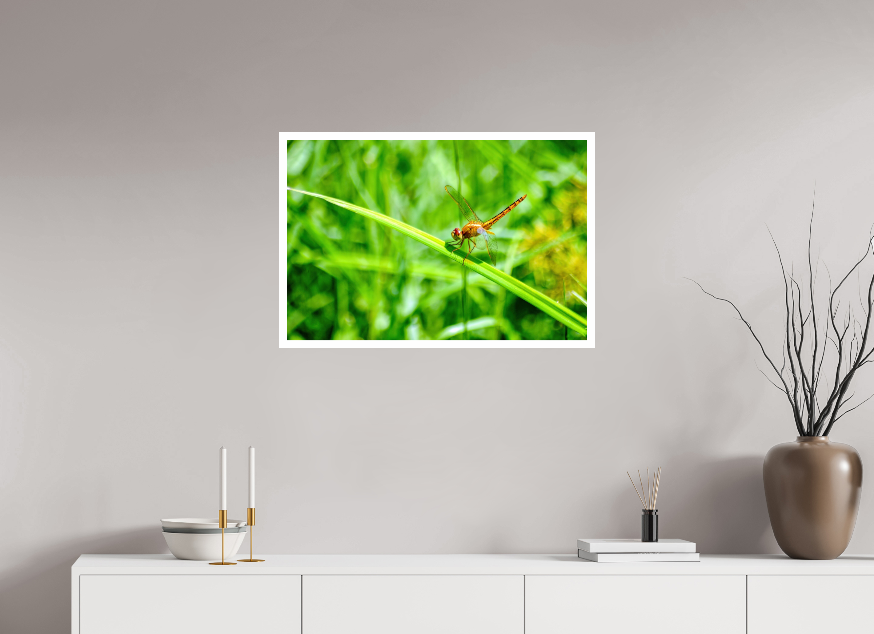 30 x 20″, Hahnemühle FineArt Pearl Print, .79" white border Female Scarlet Skimmer