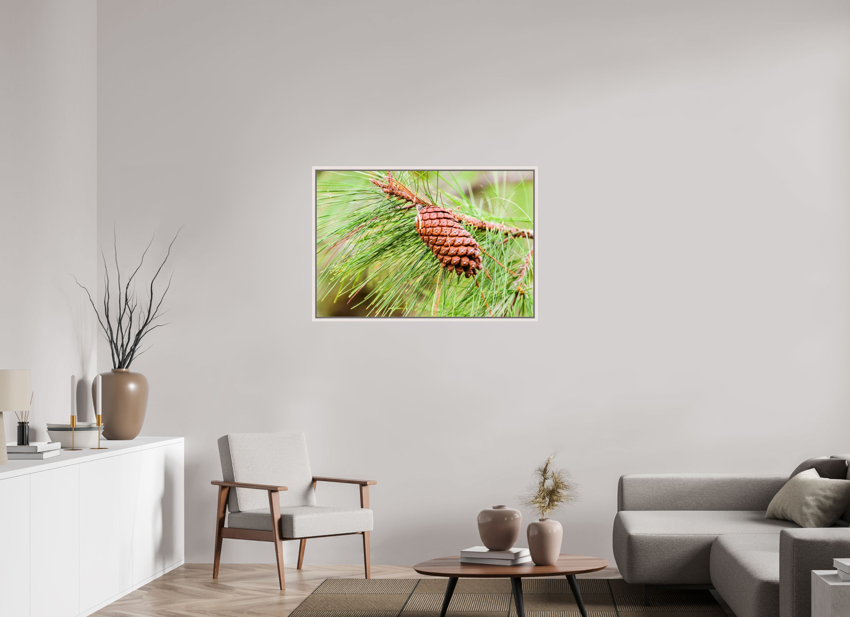 41.6 x 28″, Floater Frame, Basel 0.6", Maple White, Glossy Acrylic Glass The Longleaf Pine Cone