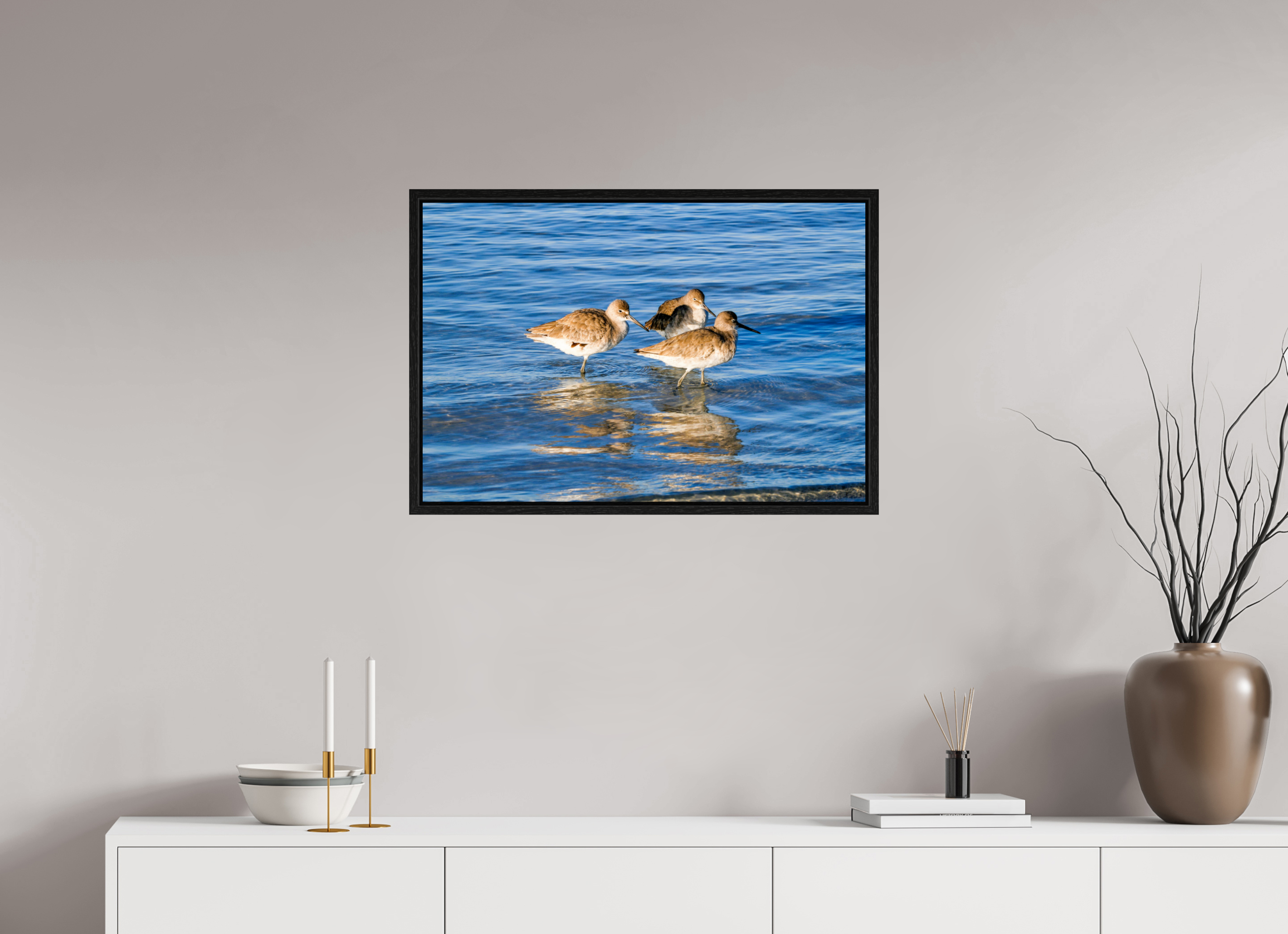 29.6 x 20″, Floater Frame, Basel 0.6", Black Oak, Glossy Acrylic Glass The Shoreline Trio: Willets in the Surf