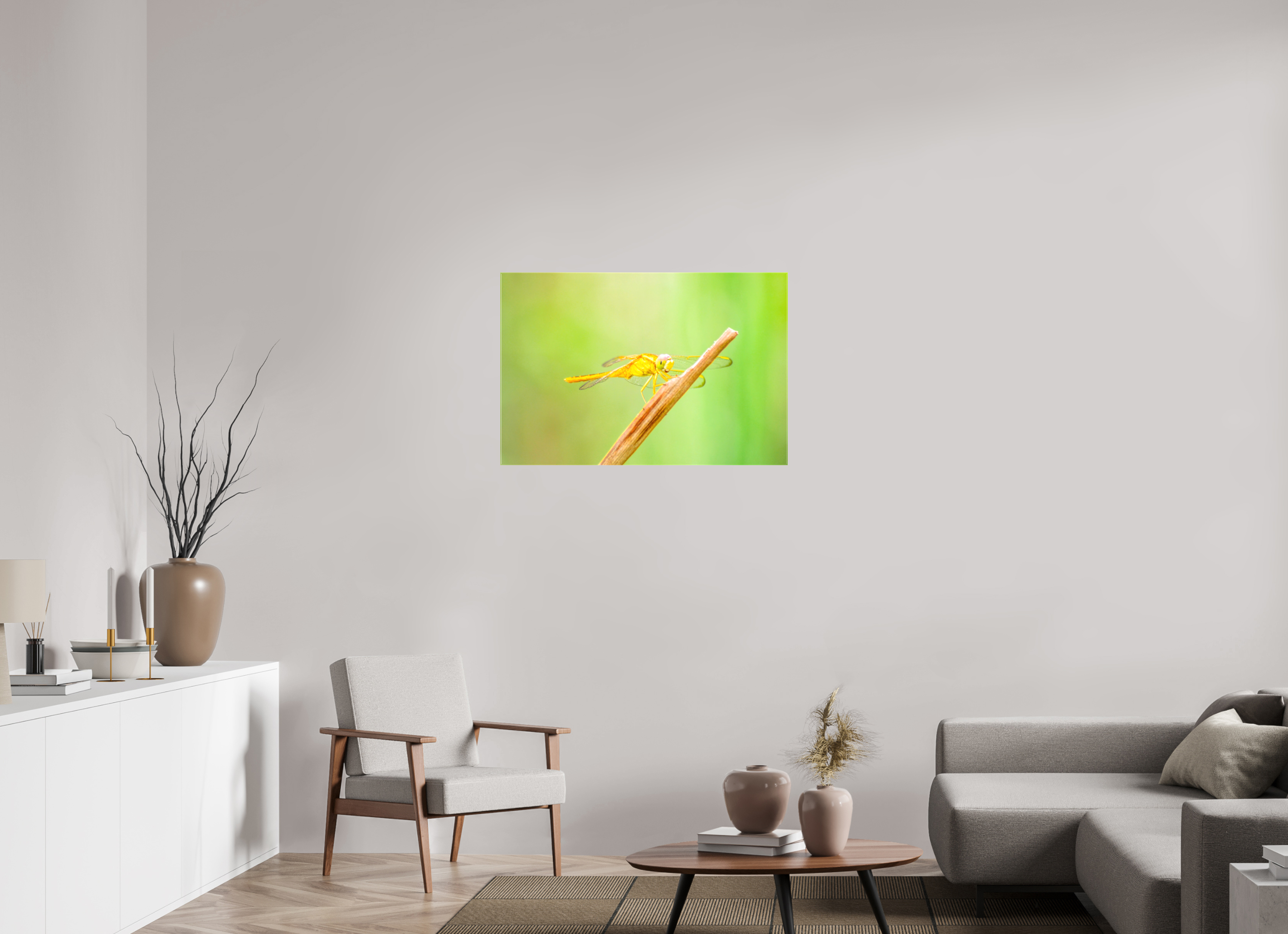 36 x 24″, Glossy Canvas on Stretcher Frame, 1,57" Wrapped Sun-Drenched Golden Scarlet Skimmer