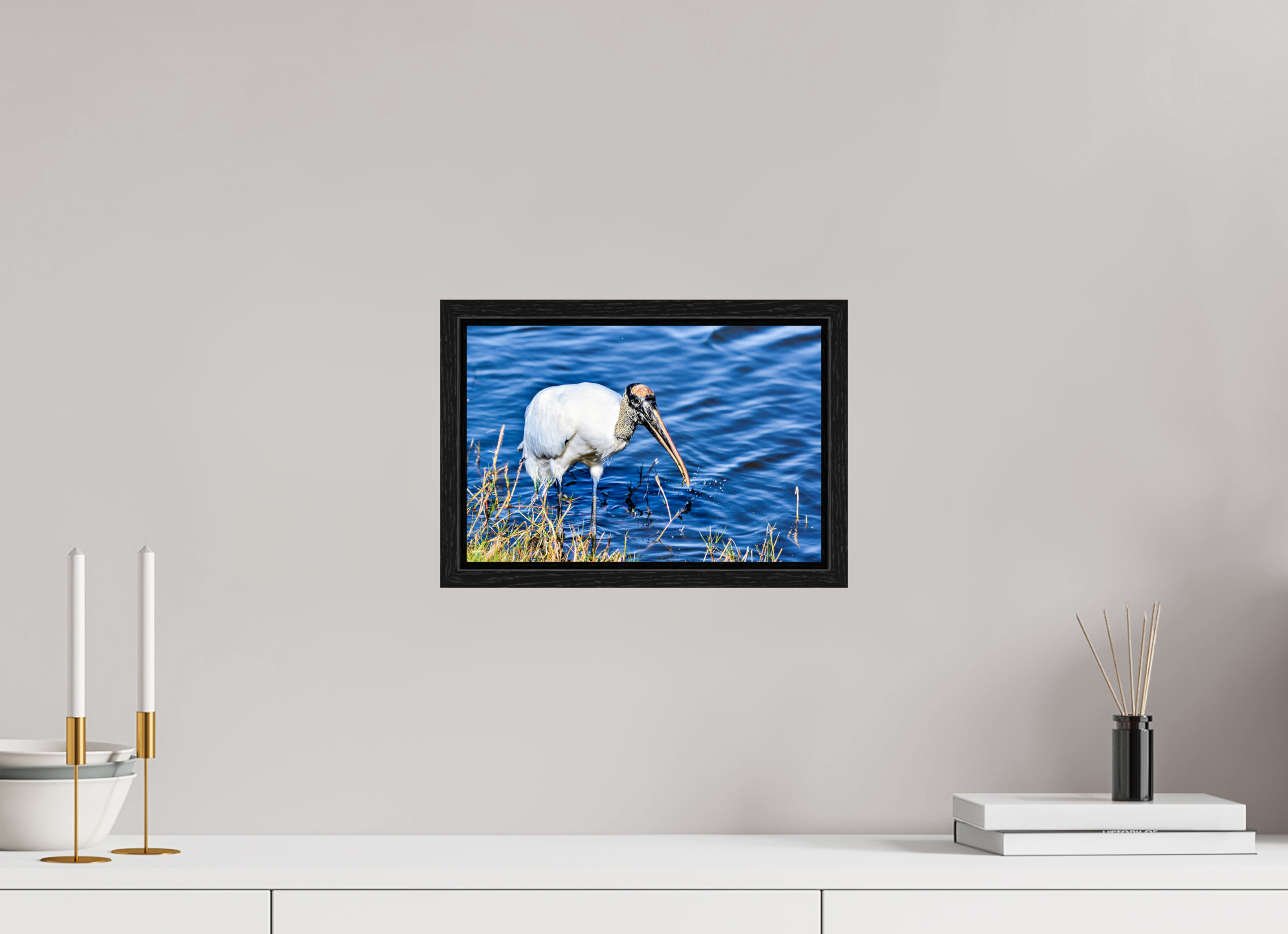 12 x 8″, Floater Frame, Basel 0.6", Black Oak, Glossy Acrylic Glass The Morning Catch: Wood Stork in Action