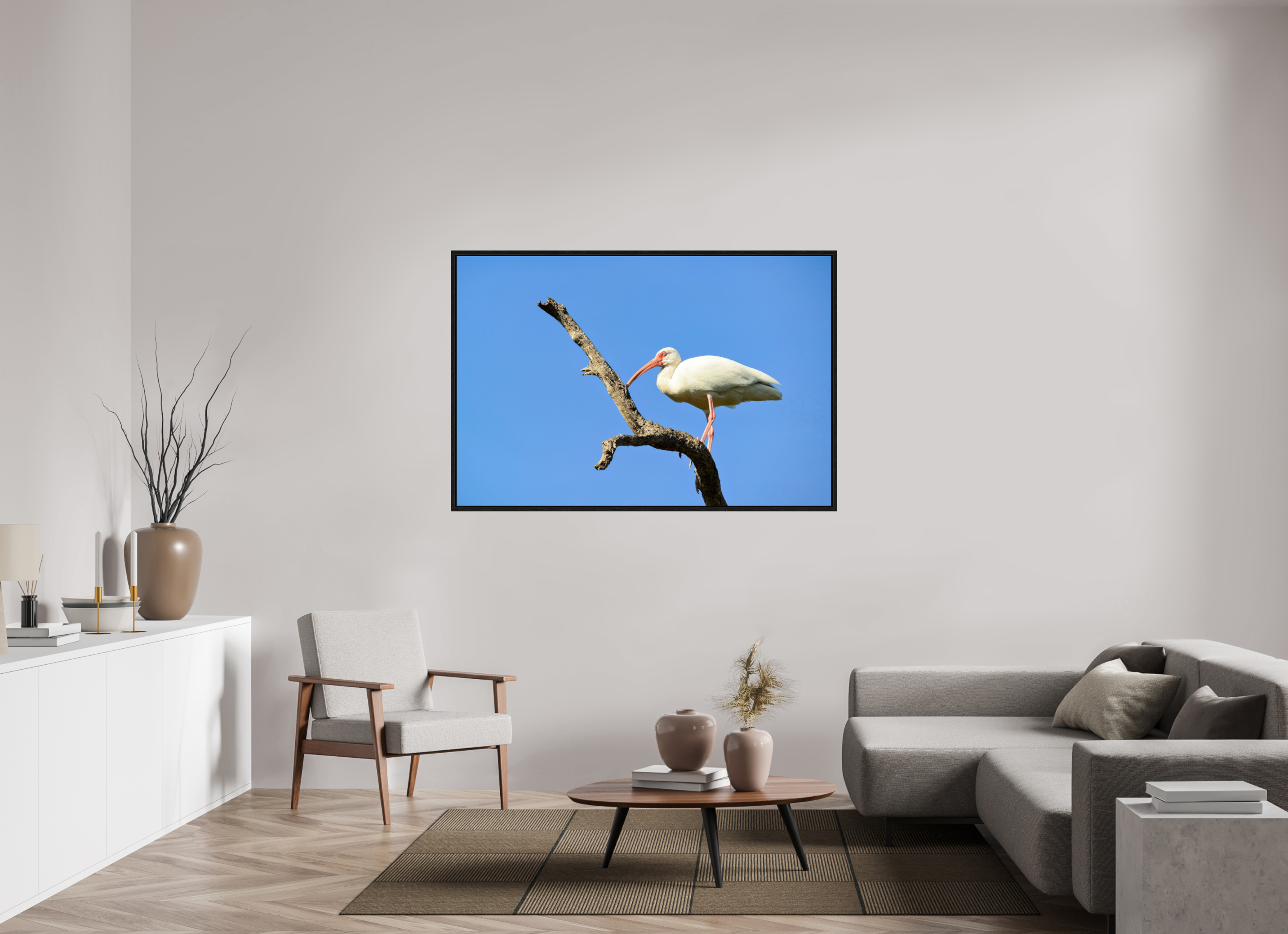 60 x 40″, Floater Frame, Basel 0.6", Black Oak, Glossy Acrylic Glass Azure Solitude: The American White Ibis