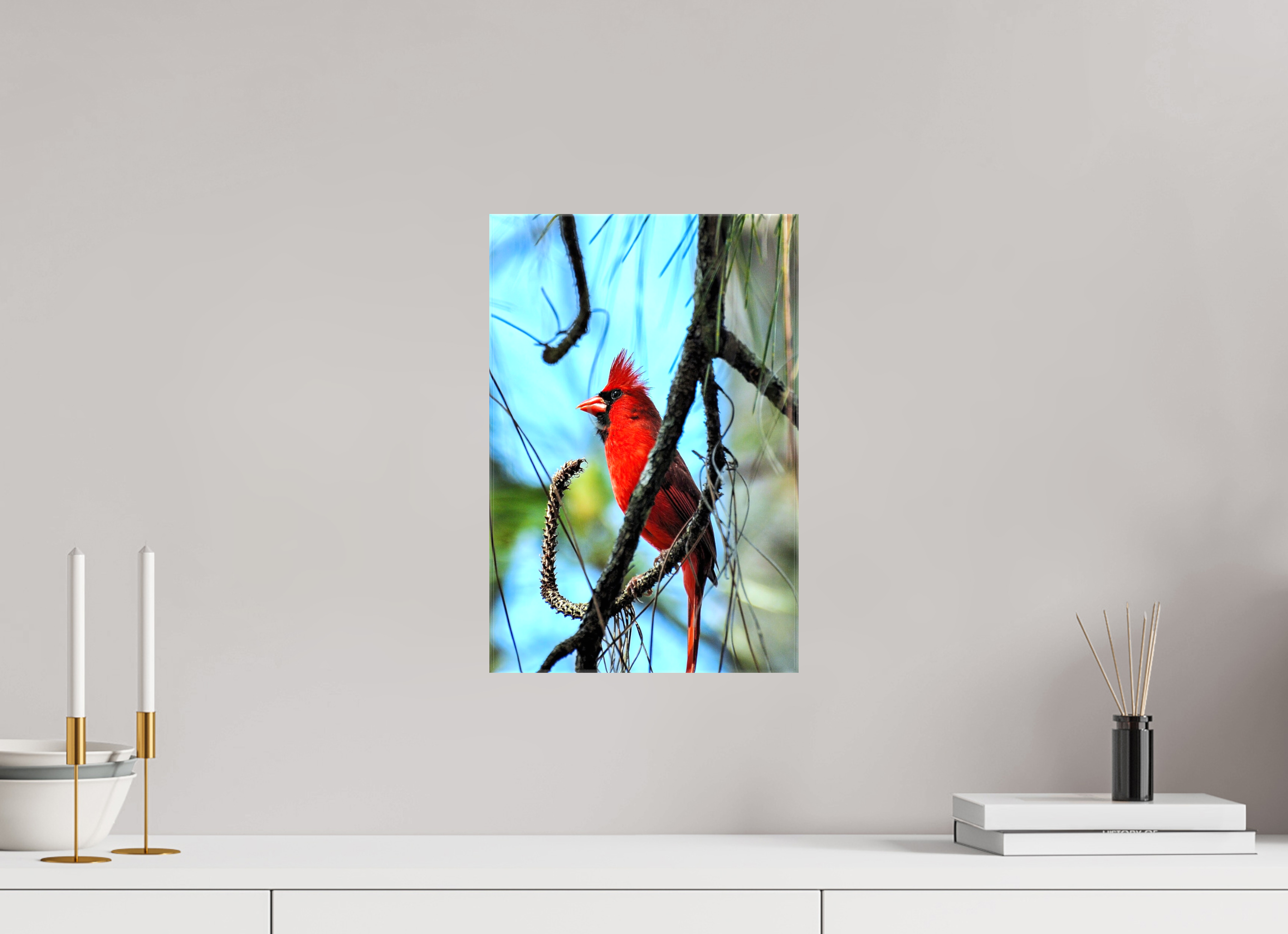 10 x 15″, Glossy Canvas on Stretcher Frame, 1,57" Wrapped The Corkscrew Cardinal