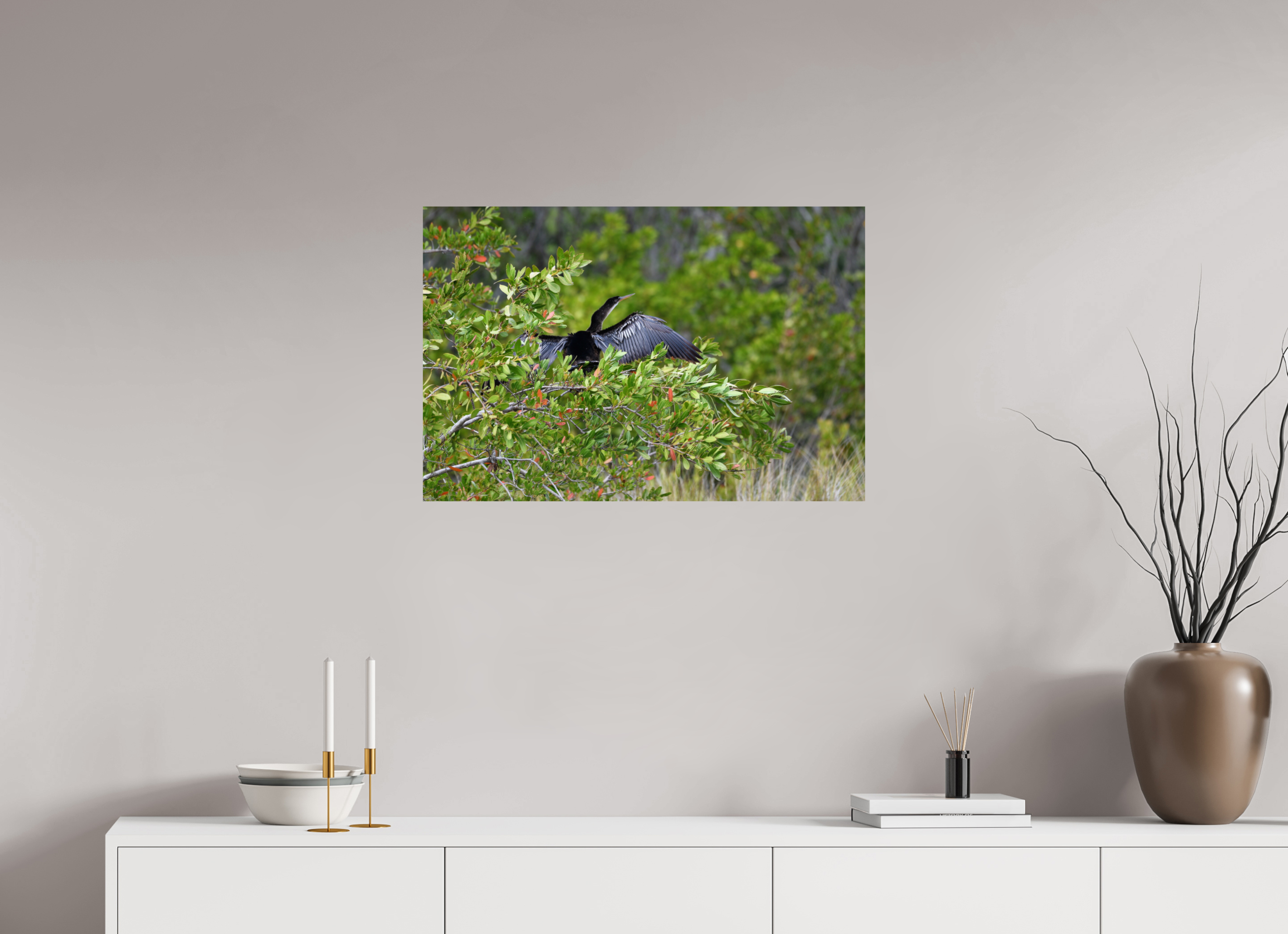 30 x 20″, Photo Print On Fuji Crystal DP II Florida Anhinga Sunning