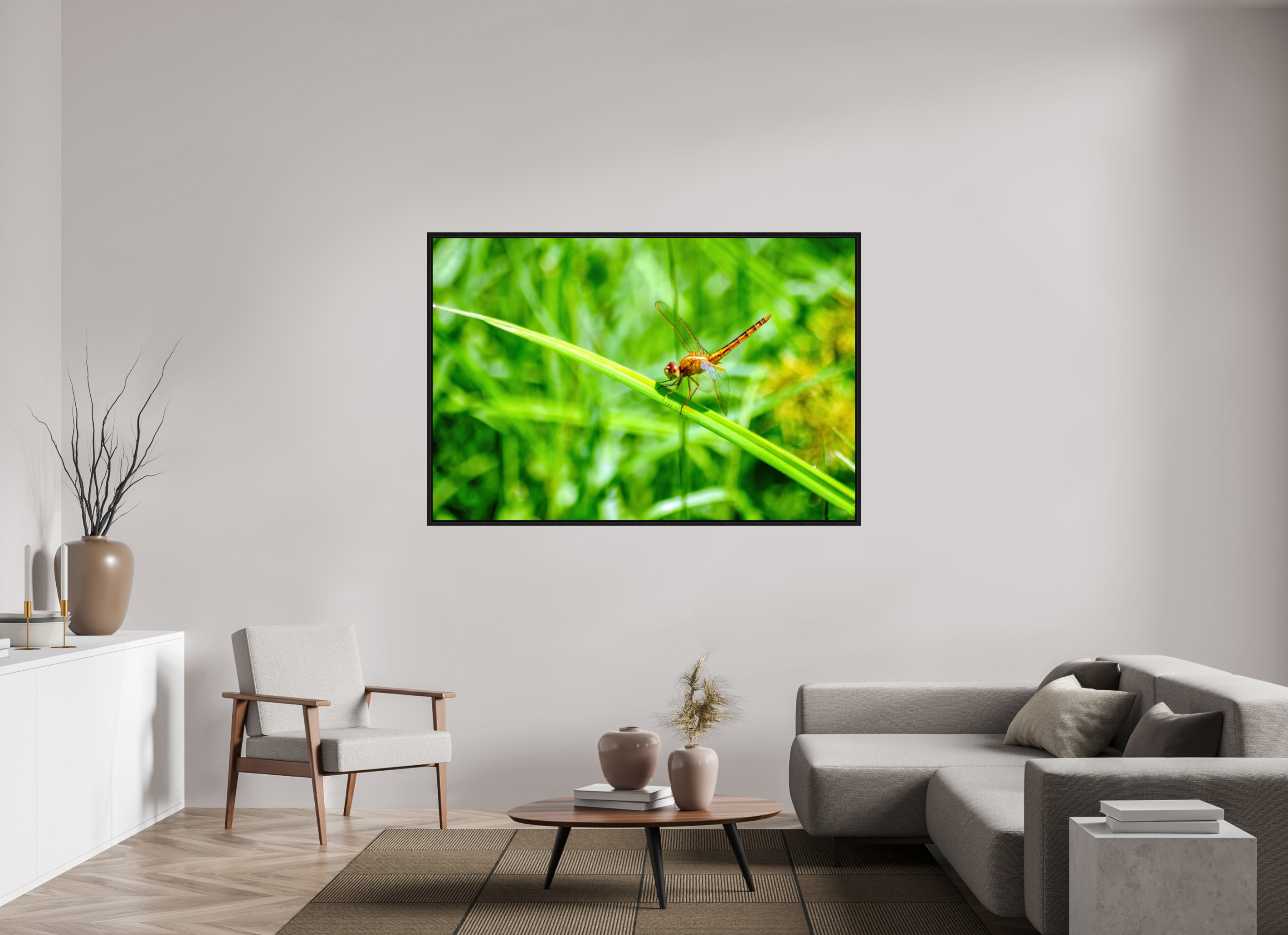 66 x 44″, Floater Frame, Basel 0.6", Black Oak, Glossy Acrylic Glass Female Scarlet Skimmer