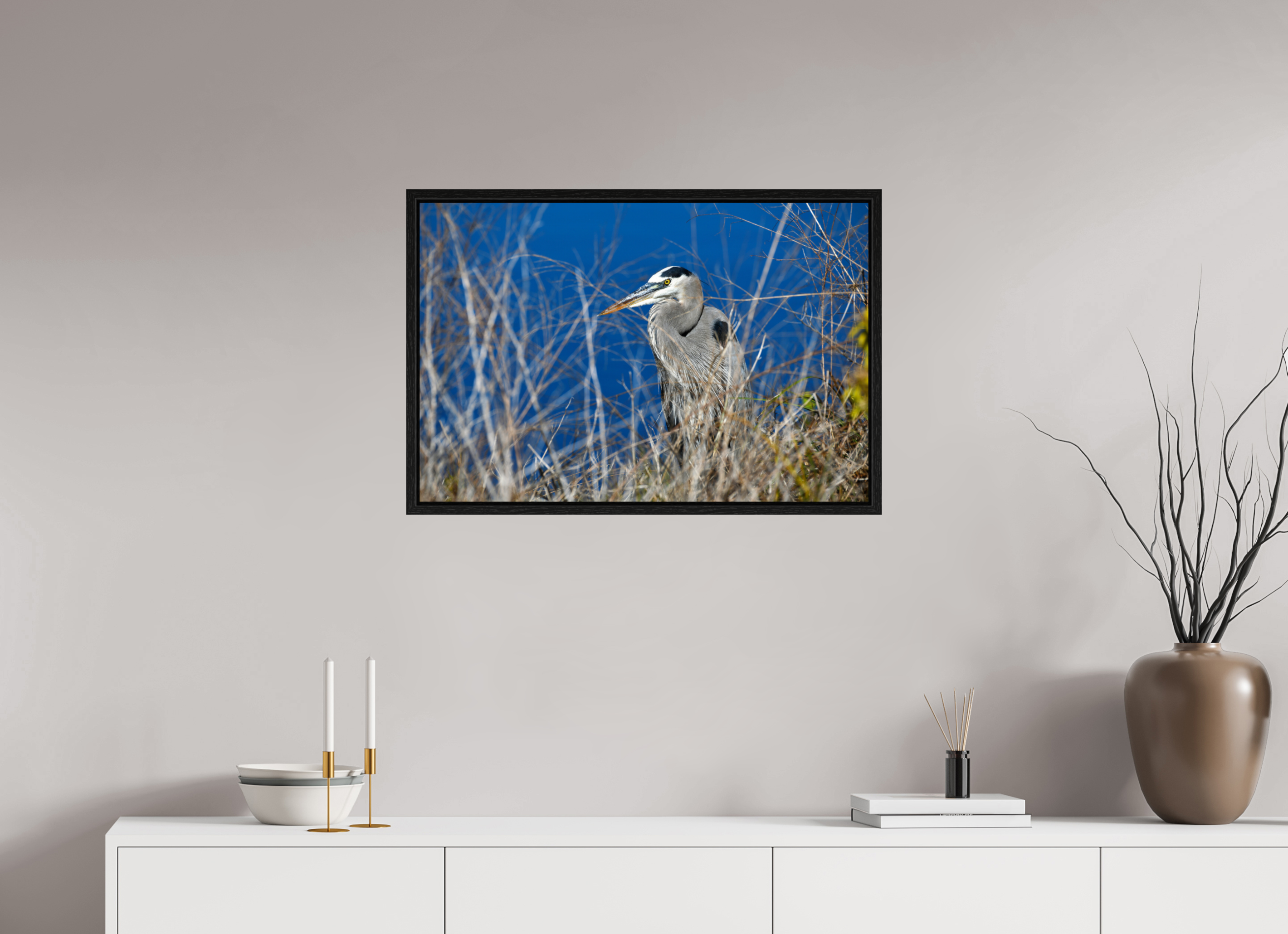 30 x 20″, Floater Frame, Basel 0.6", Black Oak, Glossy Acrylic Glass Hidden Majesty: Great Blue Heron