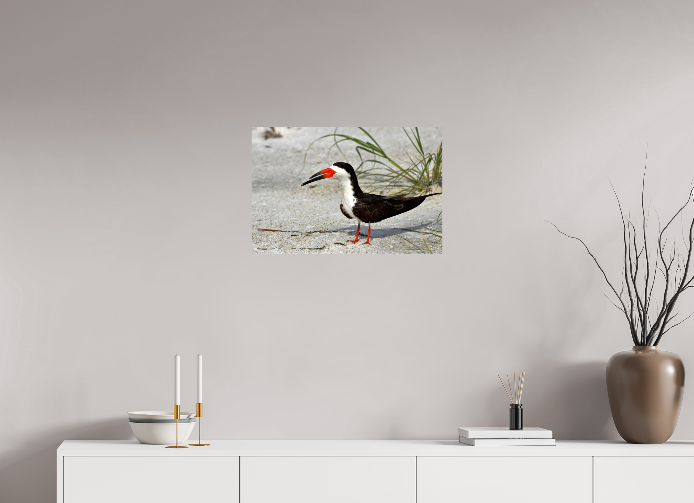 24 x 16″, Photo Print On Fuji Crystal DP II Sand & Black Skimmer