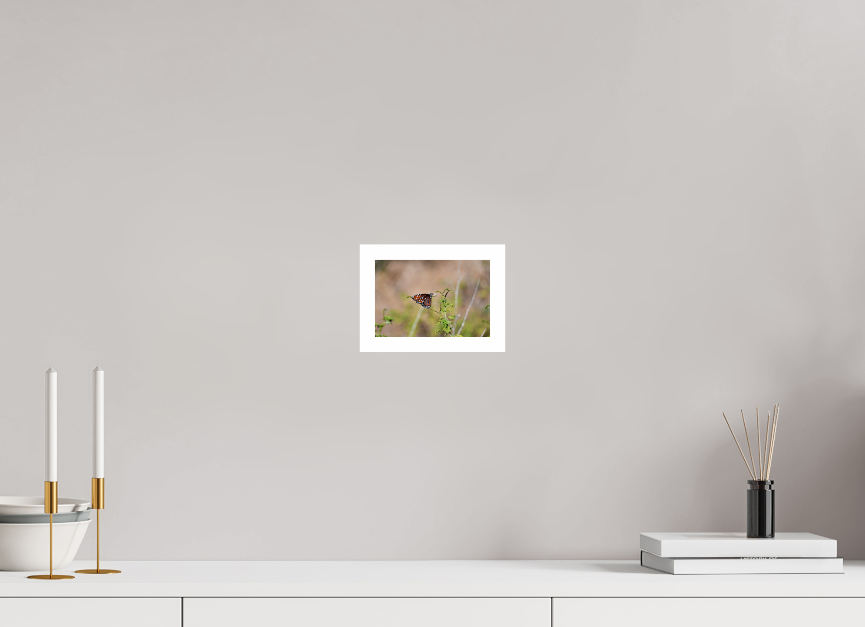 6 x 4″, Hahnemühle FineArt Pearl Print without Frame, .79" white border Queen Butterfly