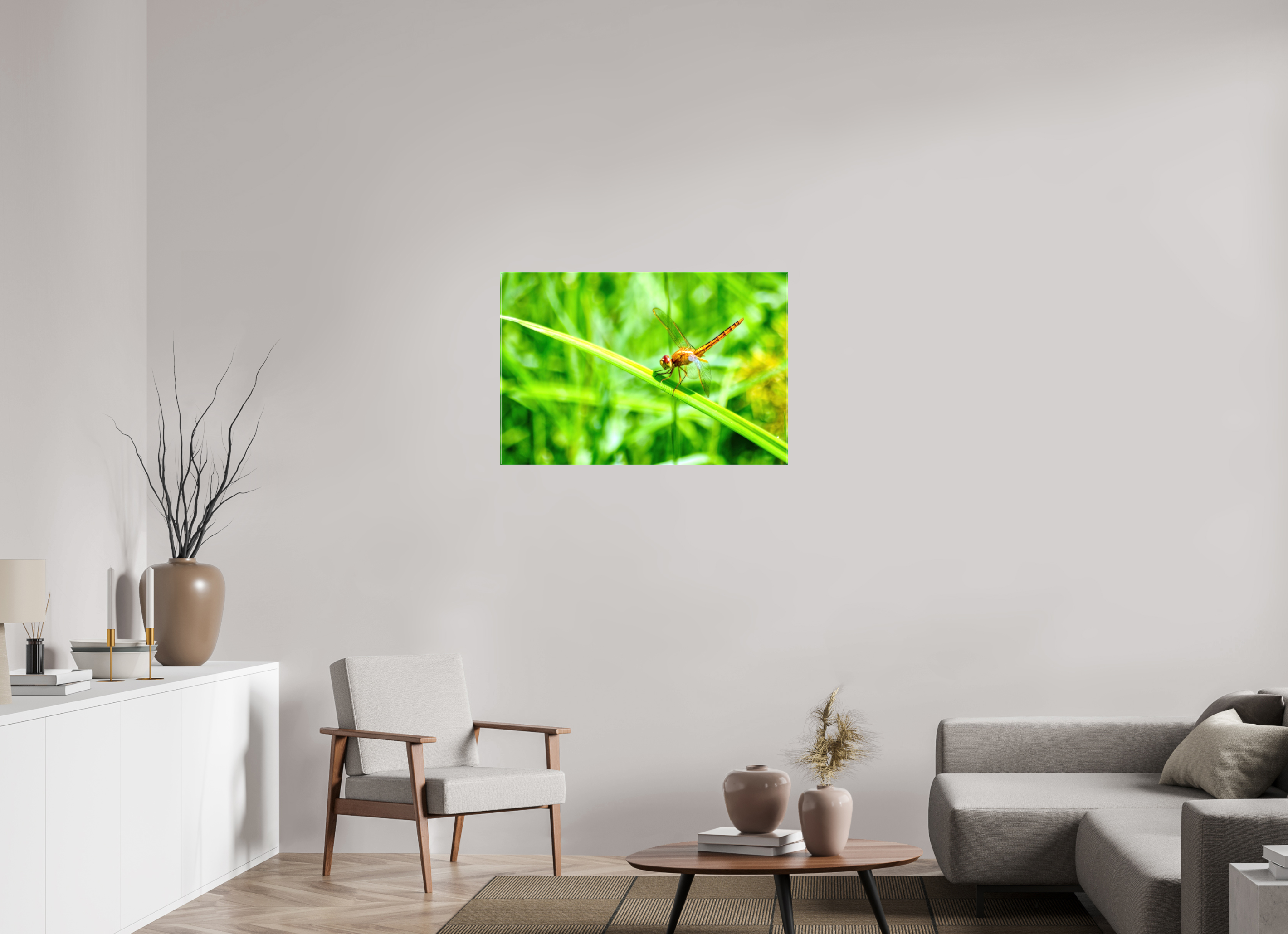 36 x 24″, Glossy Canvas on Stretcher Frame, 1,57" Wrapped Female Scarlet Skimmer