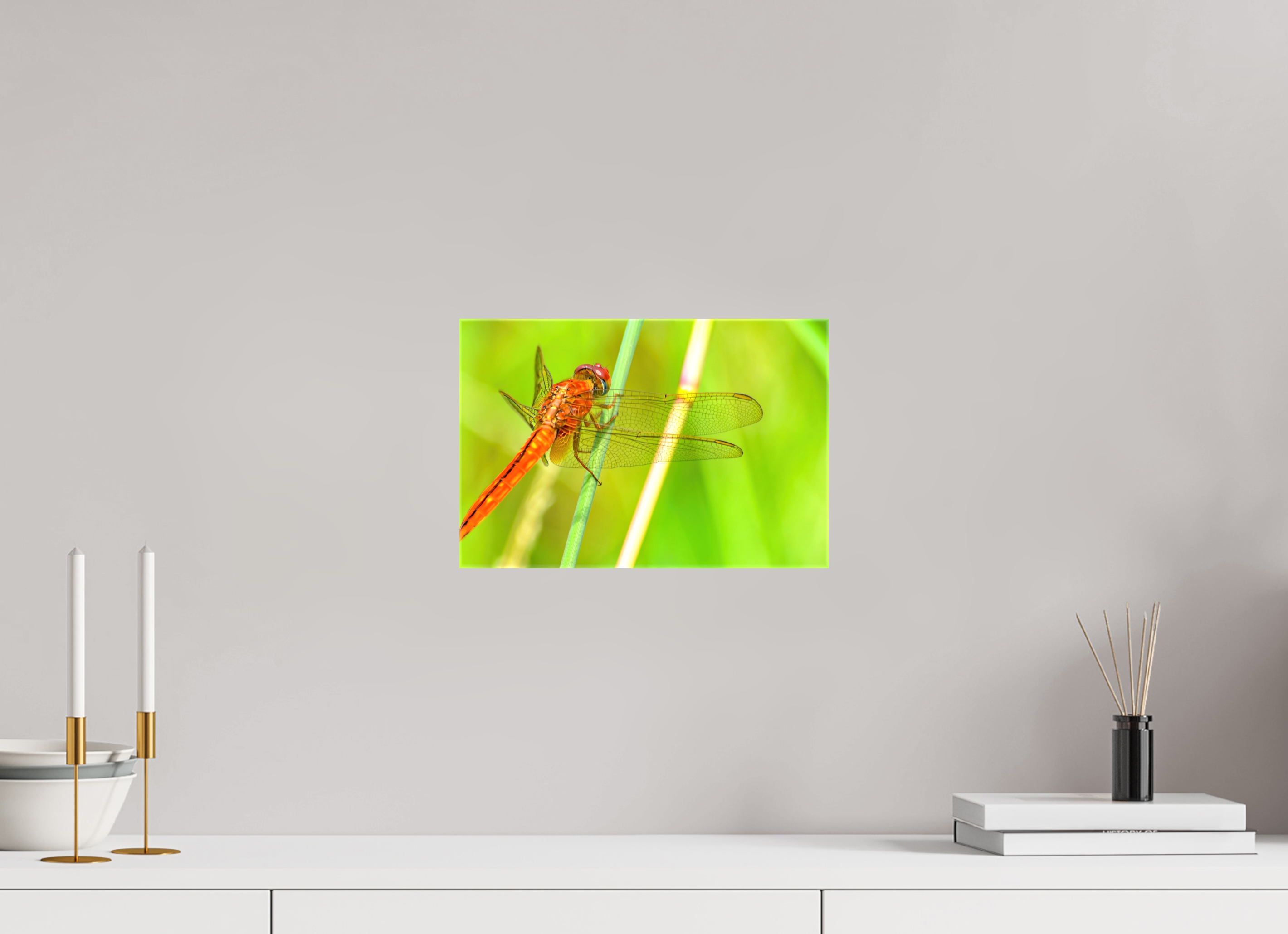 12 x 8″, Glossy Canvas on Stretcher Frame, 1,57" Wrapped Resting Scarlet Skimmer