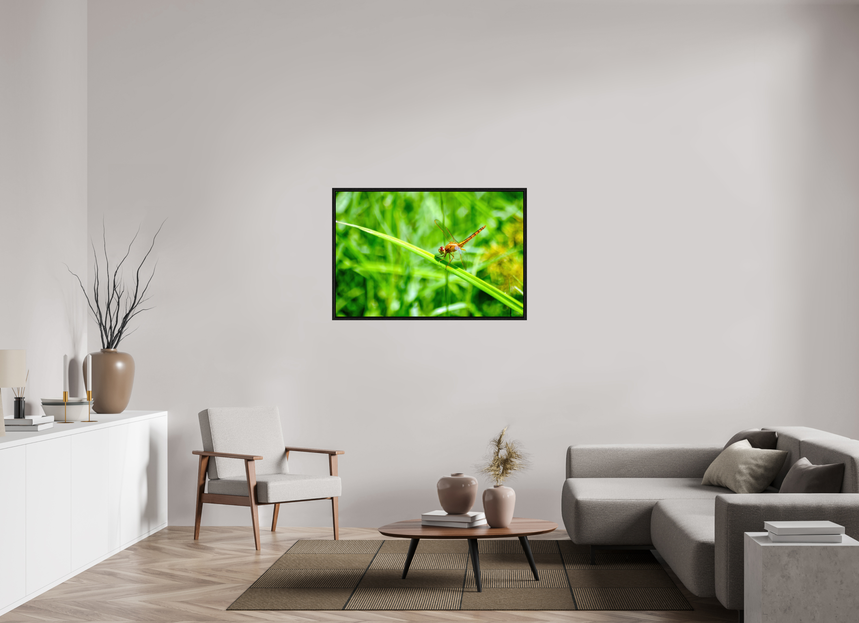 45 x 30″, Floater Frame, Basel 0.6", Black Oak, Glossy Acrylic Glass Female Scarlet Skimmer