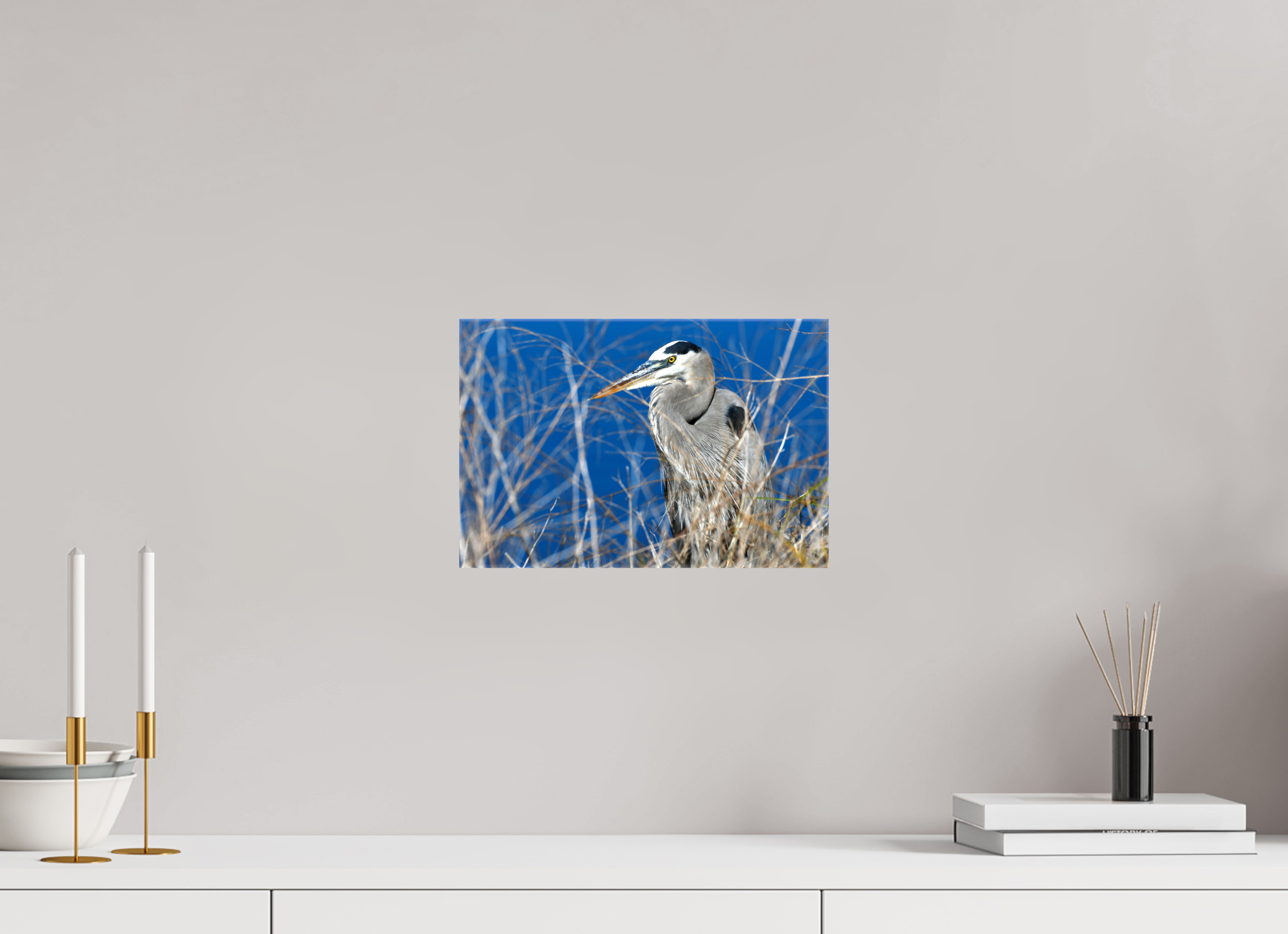 12 x 8″, Glossy Canvas on Stretcher Frame, 1,57" Wrapped Hidden Majesty: Great Blue Heron