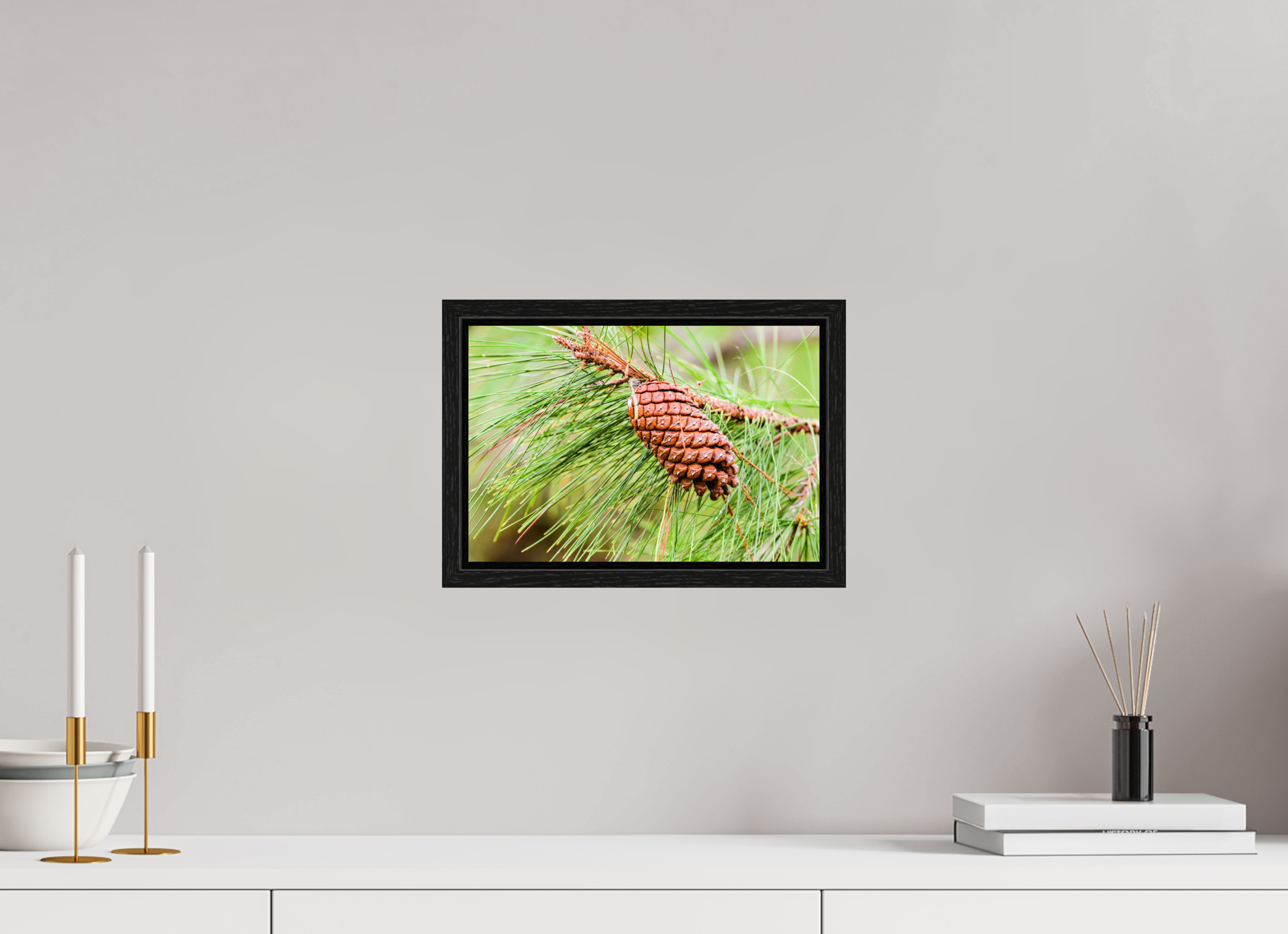 11.9 x 8″, Floater Frame The Longleaf Pine Cone