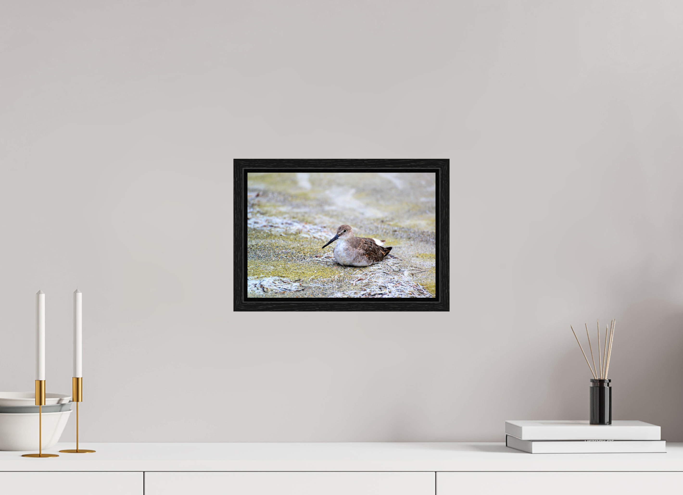 12 x 8″, Floater Frame, Basel 0.6", Black Oak, Glossy Acrylic Glass The Resting Willet