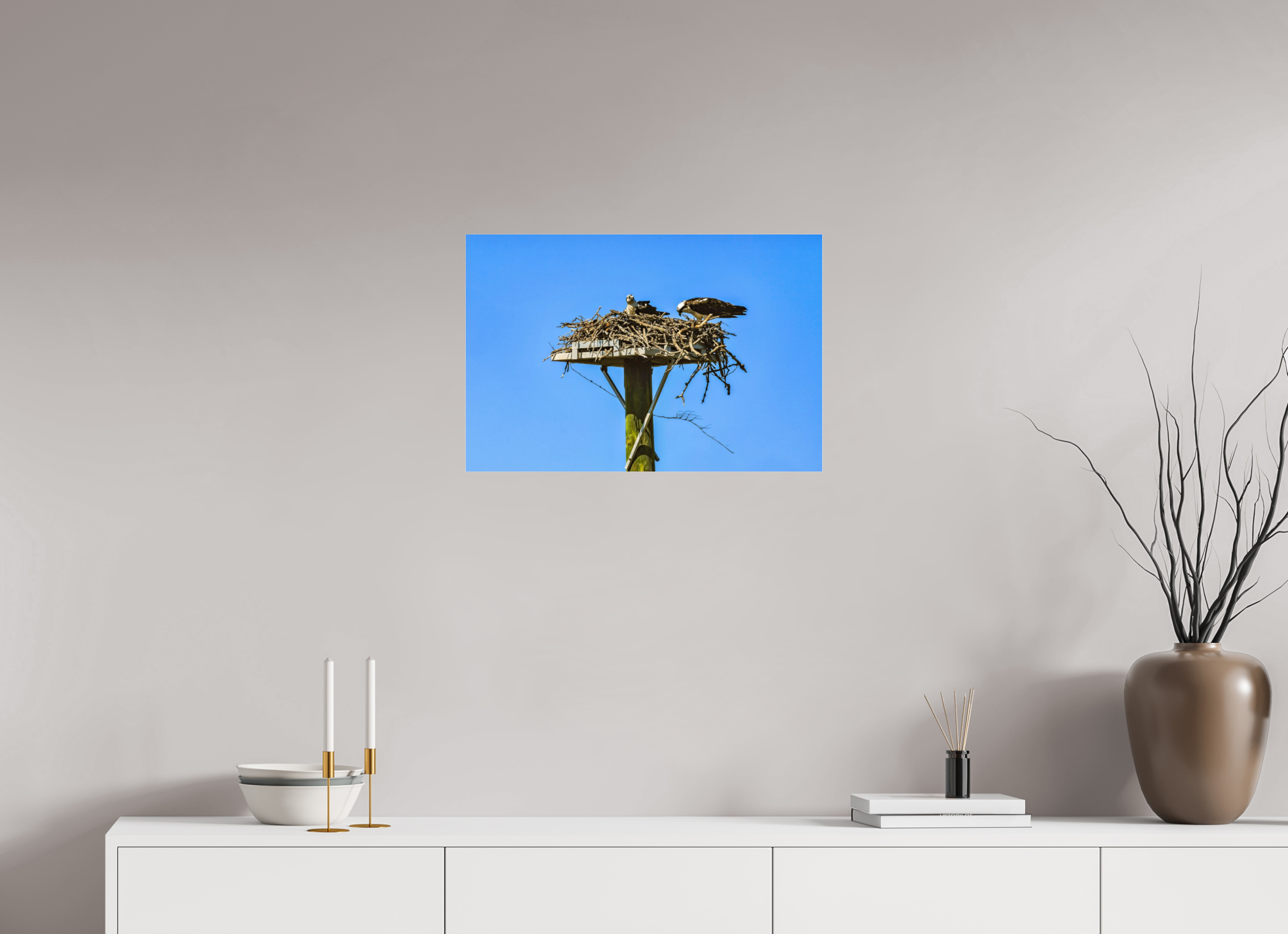 24 x 16″, Photo Print Fuji Crystal Archive Under Acrylic Glass Osprey Outlook