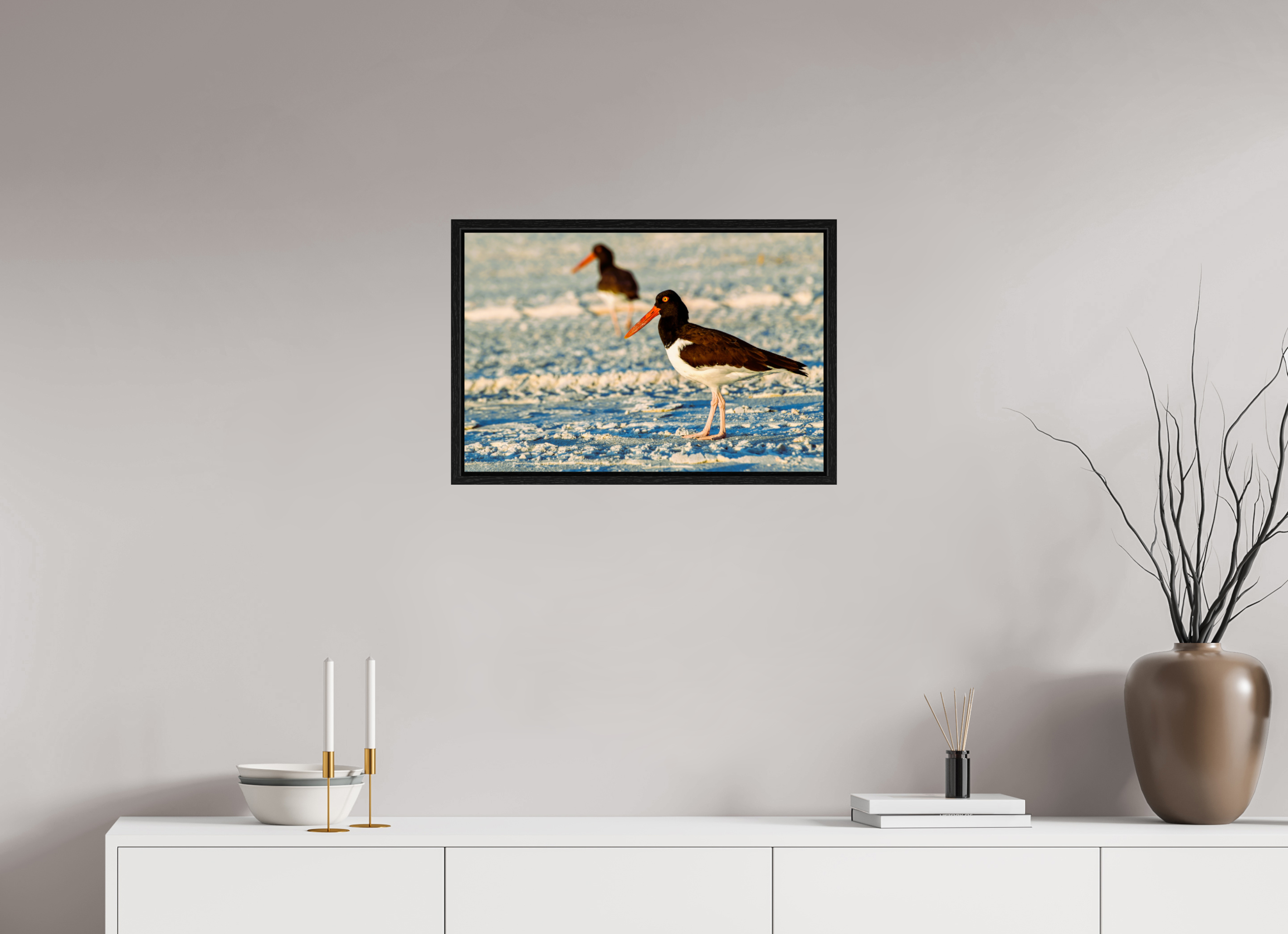 24 x 16″, Floater Frame Oystercatcher Stroll