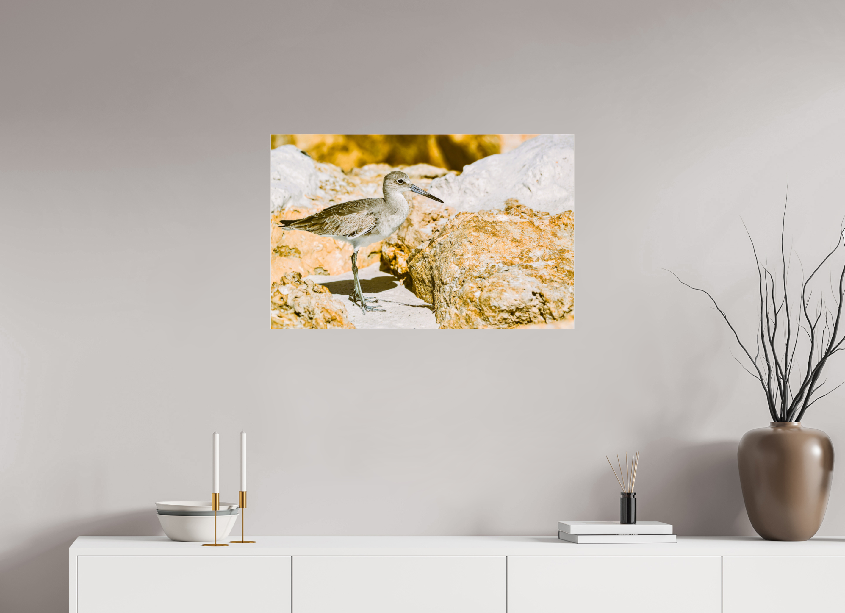 31.1 x 20″, Metallic Photo Print Under Acrylic Glass The Sunny Willet