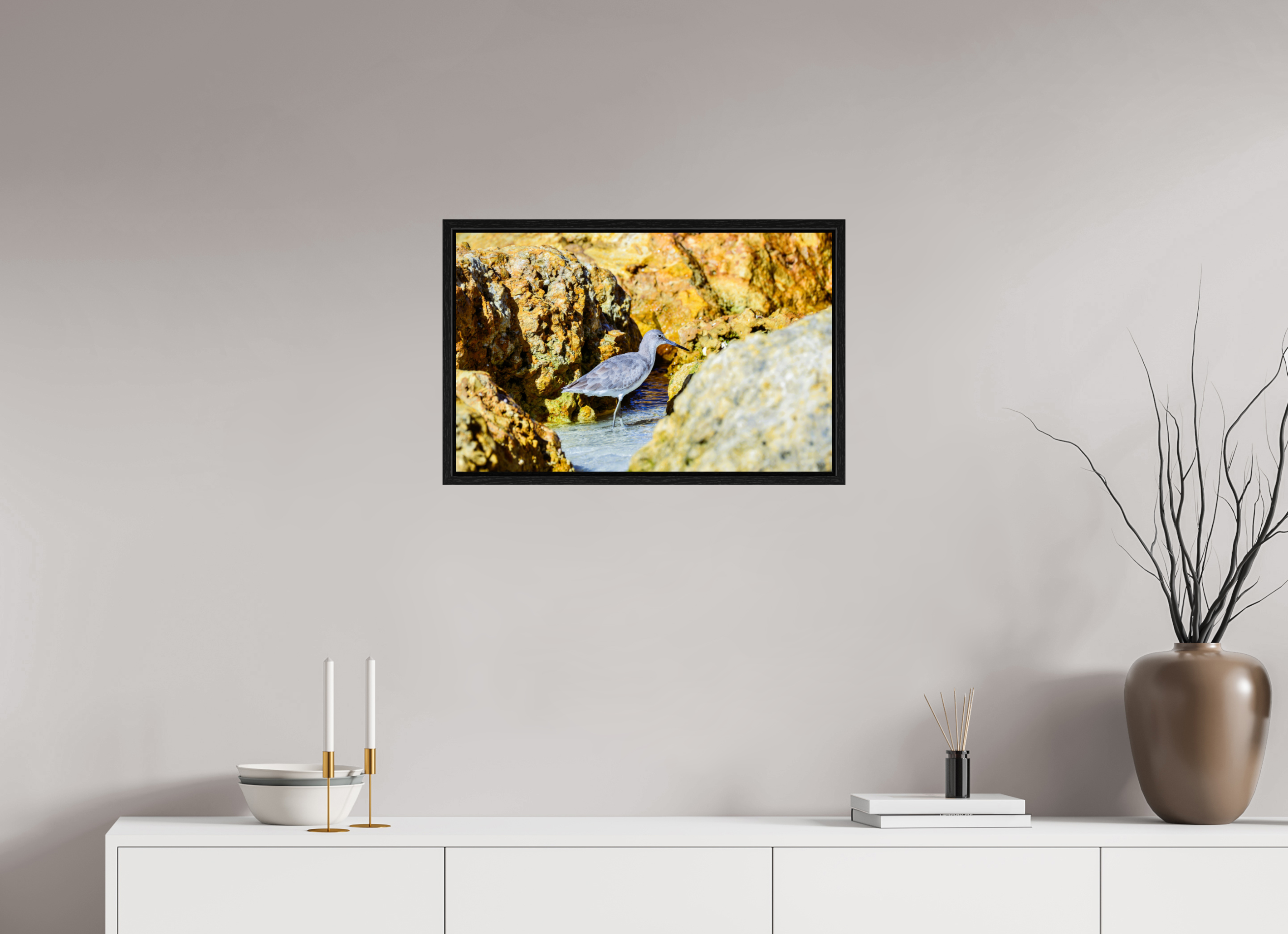 25.2 x 16″, Floater Frame The Hiding Willet