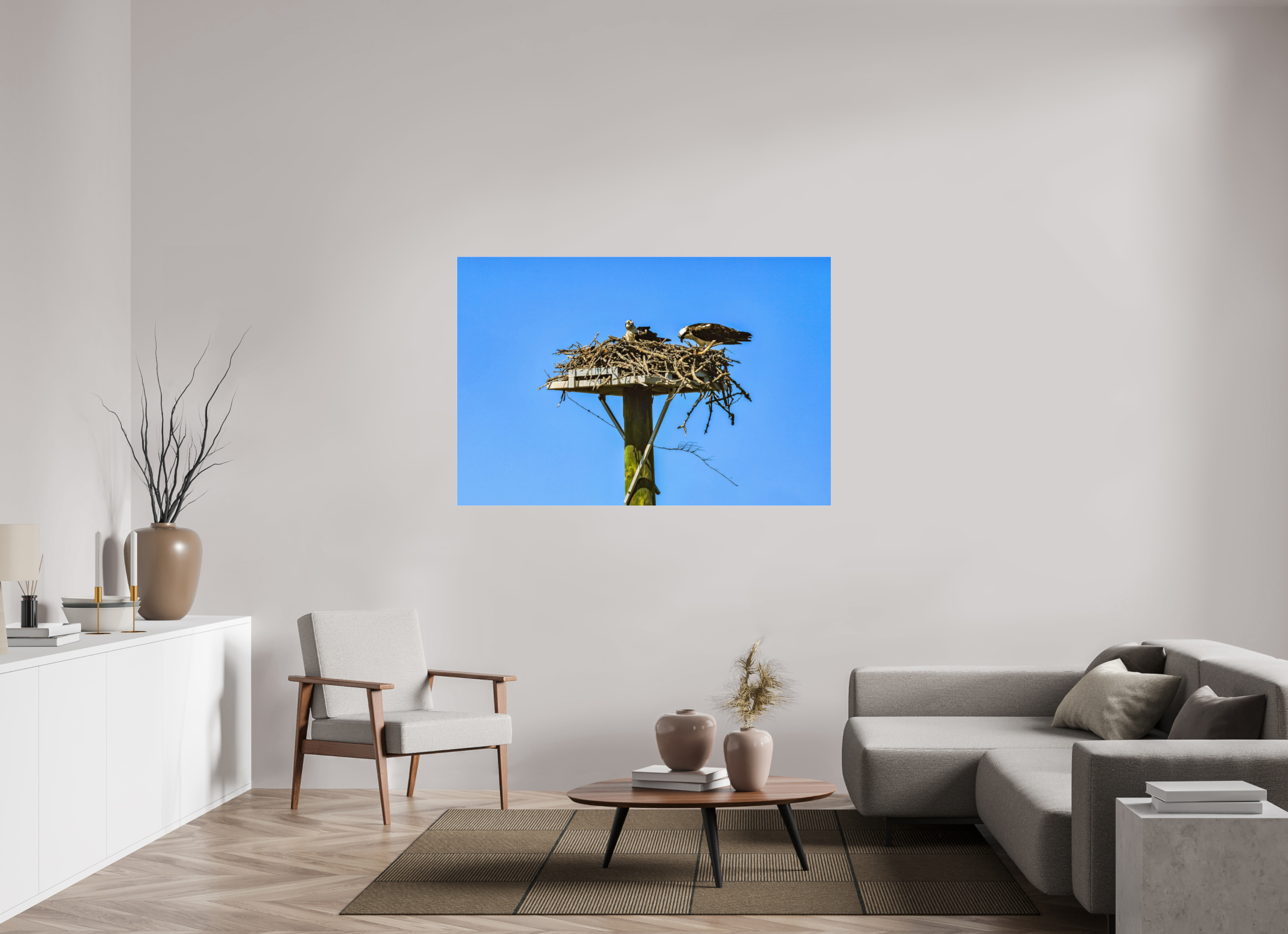 60 x 40″, Photo Print Fuji Crystal Archive Under Acrylic Glass Osprey Outlook