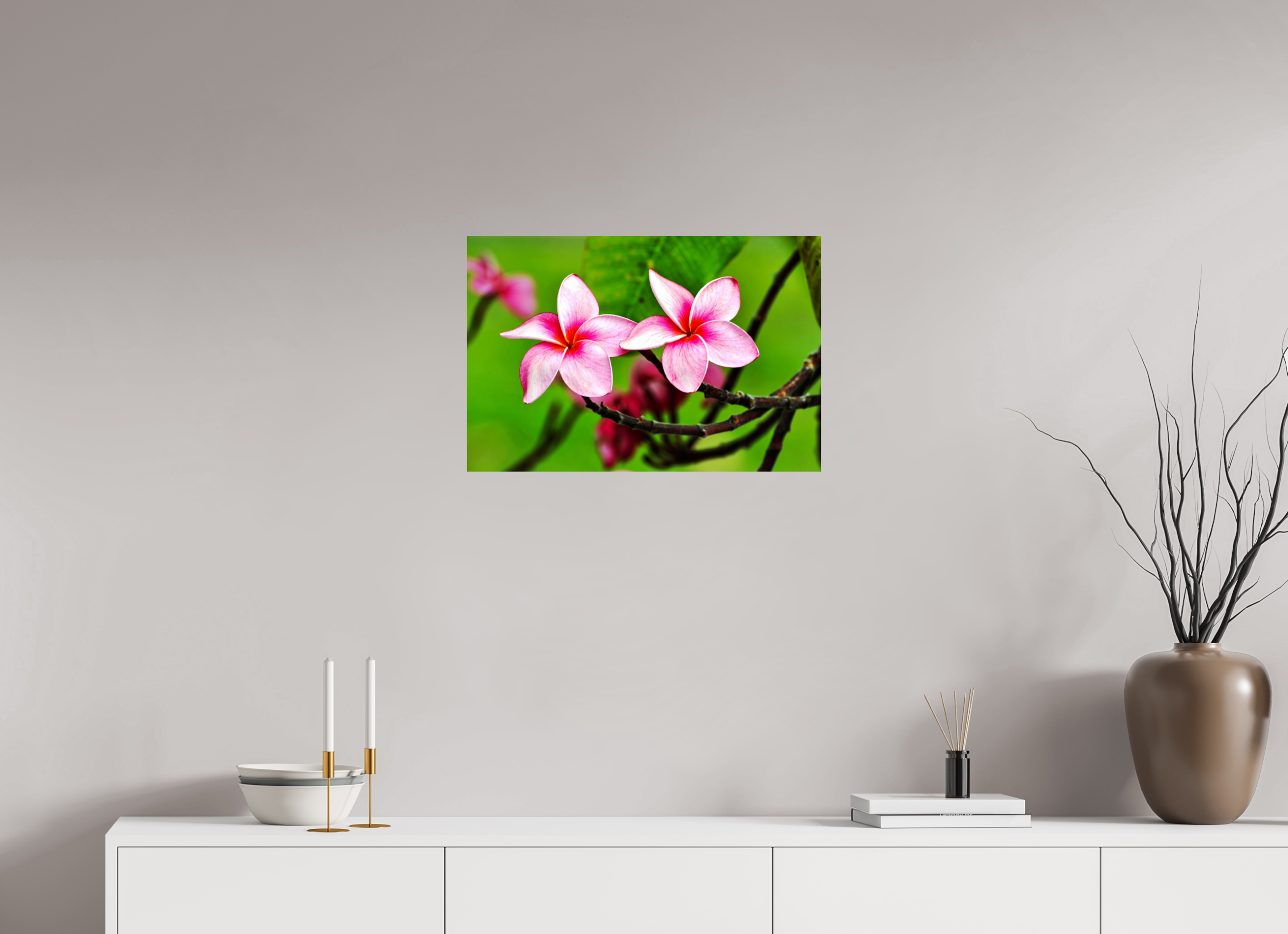 24 x 16″, Photo Print On Fuji Crystal DP II Pink Plumeria Rubra (Frangipani)