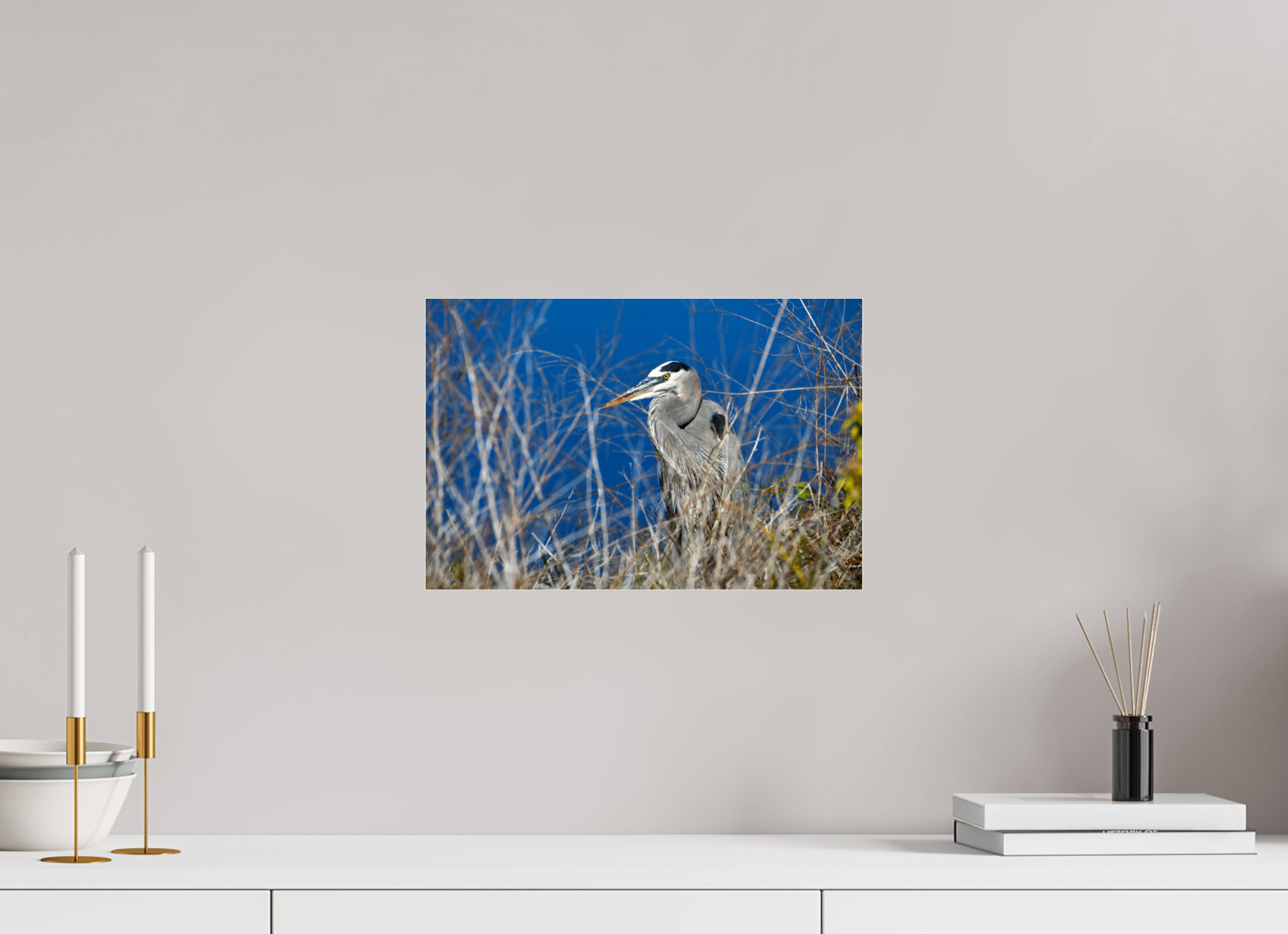 15 x 10″, Metallic Photo Print Under Acrylic Glass Hidden Majesty: Great Blue Heron