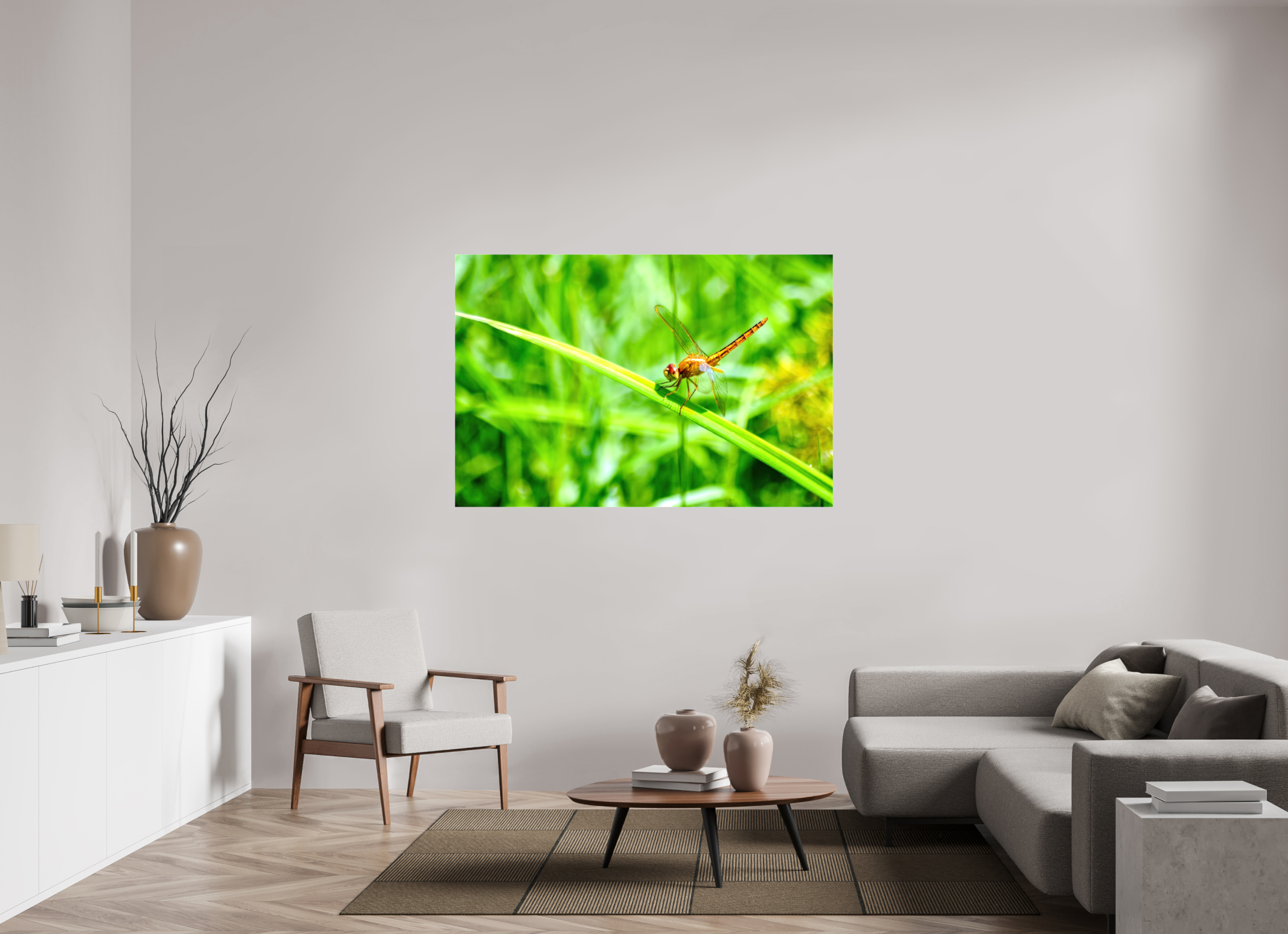 60 x 40″, Glossy Canvas on Stretcher Frame, 1,57" Wrapped Female Scarlet Skimmer