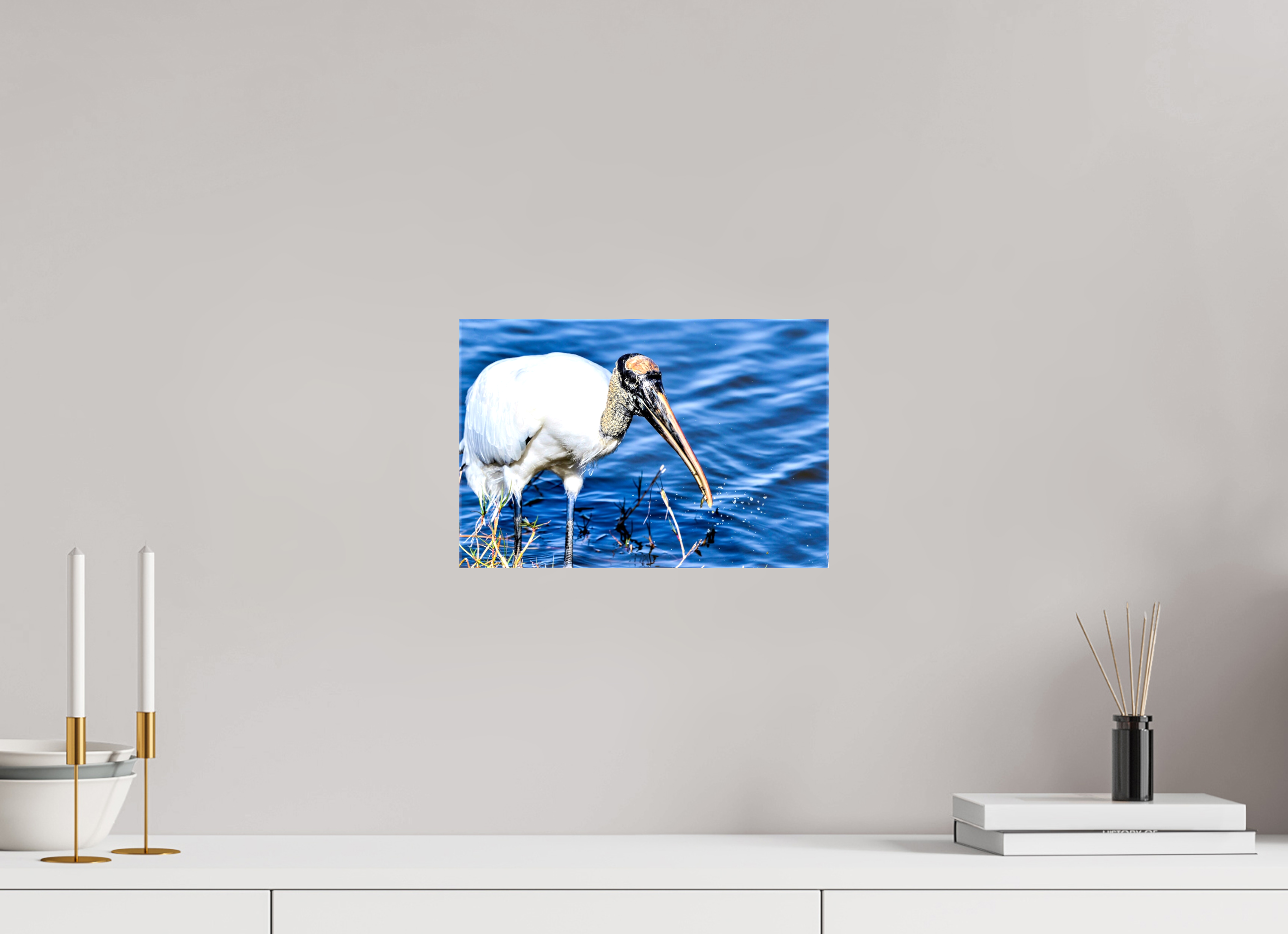 12 x 8″, Glossy Canvas on Stretcher Frame, 1,57" Wrapped The Morning Catch: Wood Stork in Action