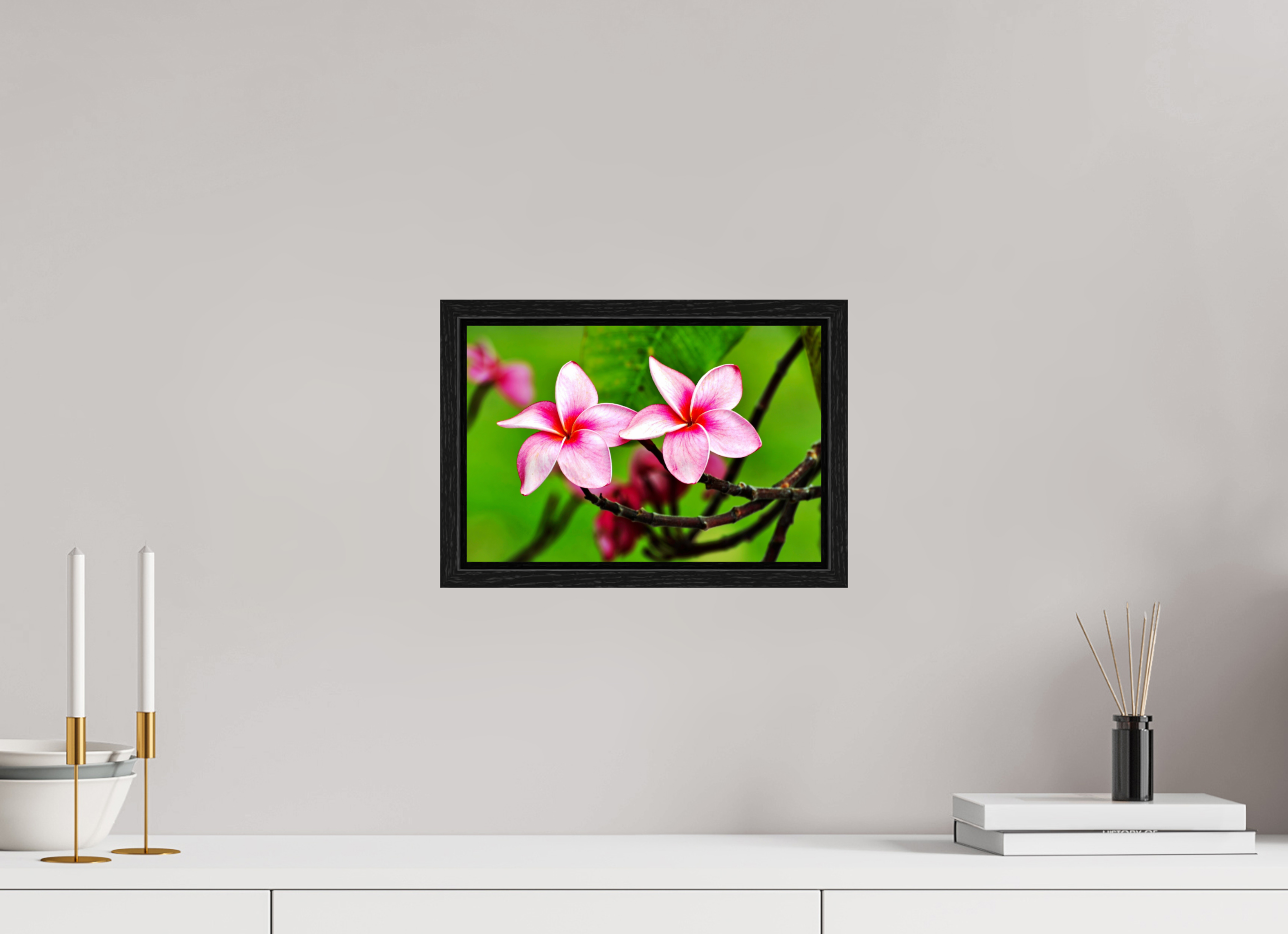 12 x 8″, Floater Frame, Basel 0.6", Black Oak, Glossy Acrylic Glass Pink Plumeria Rubra (Frangipani)