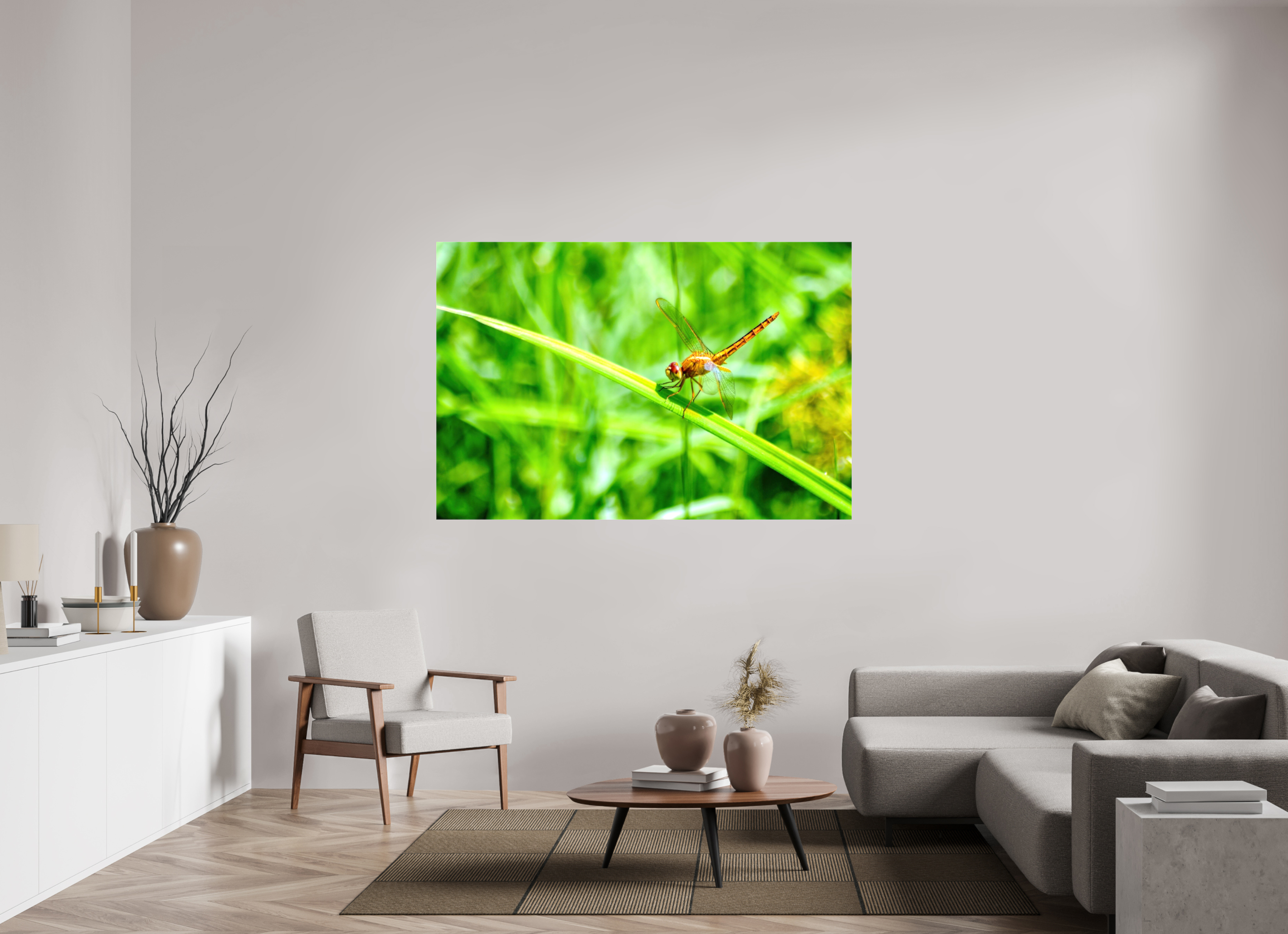 66 x 44″, Glossy Canvas on Stretcher Frame, 1,57" Wrapped Female Scarlet Skimmer
