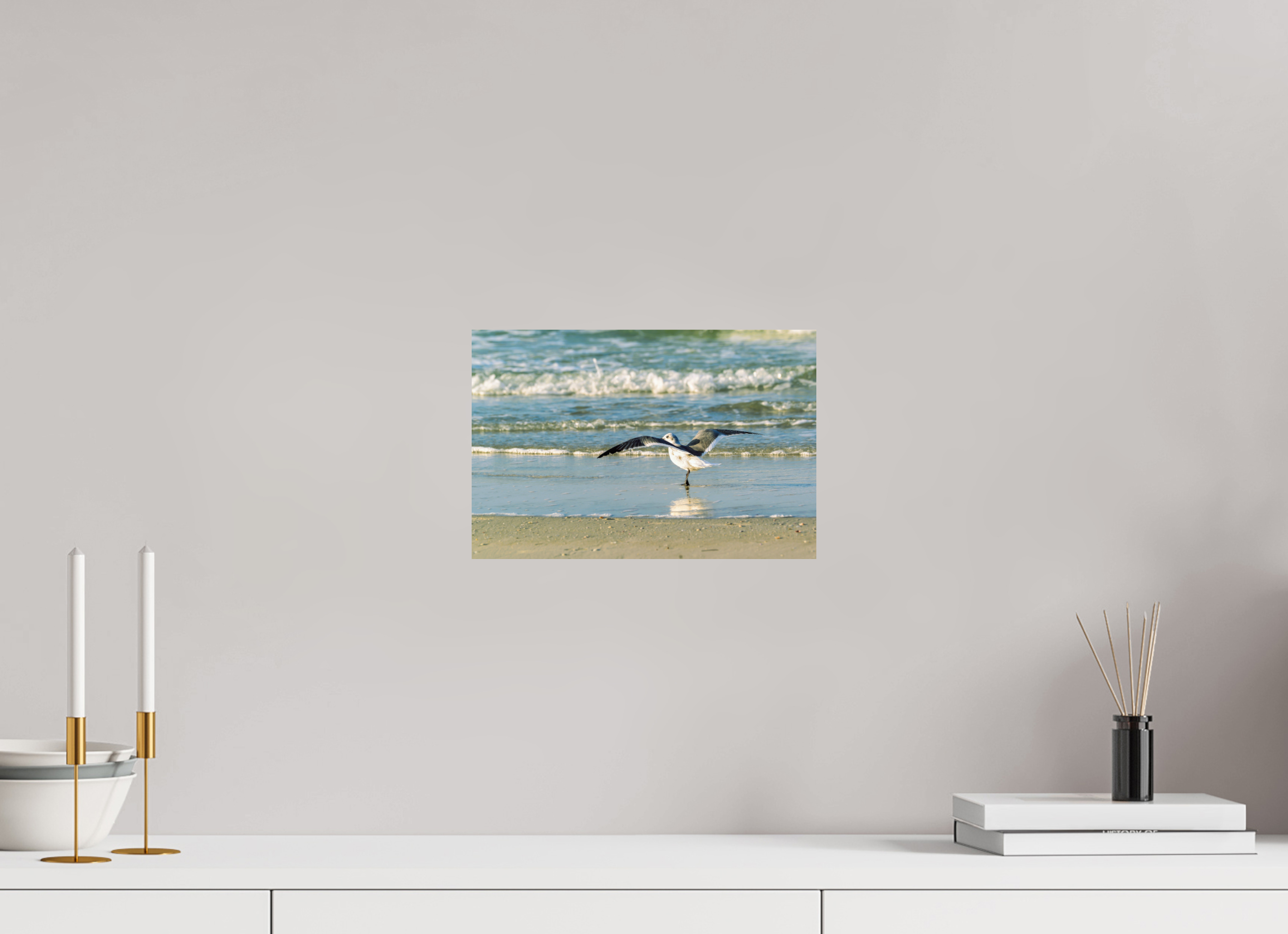 12 x 8″, Photo Print On Fuji Crystal DP II Laughing Gull in Motion
