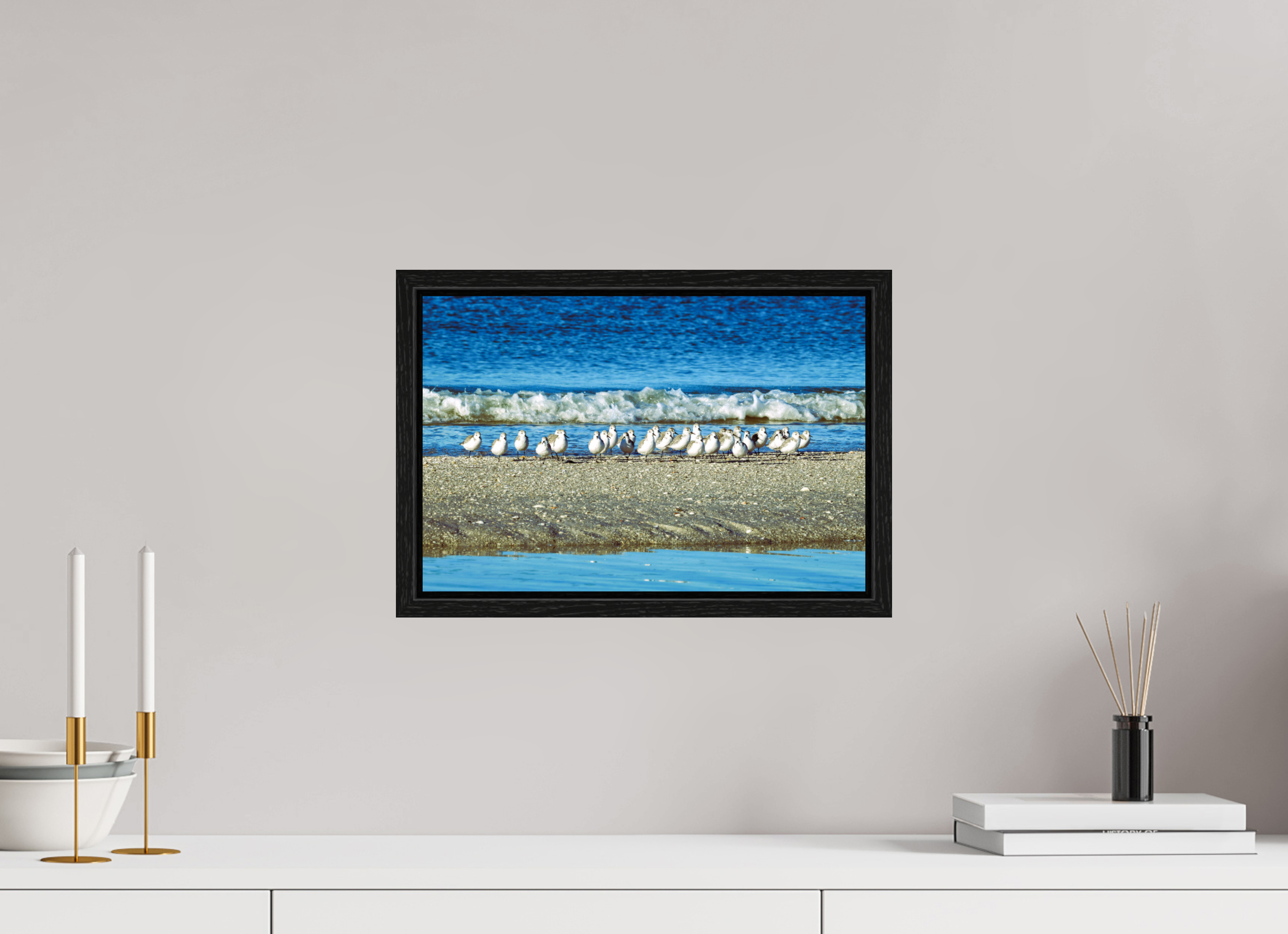 15 x 10″, Floater Frame, Basel 0.6", Black Oak, Glossy Acrylic Glass Sanderlings on Standby