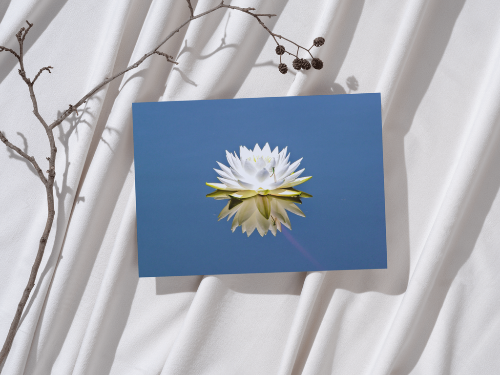 5ce54cde-d4d2-4b0e-86aa-d3f5ff72564f