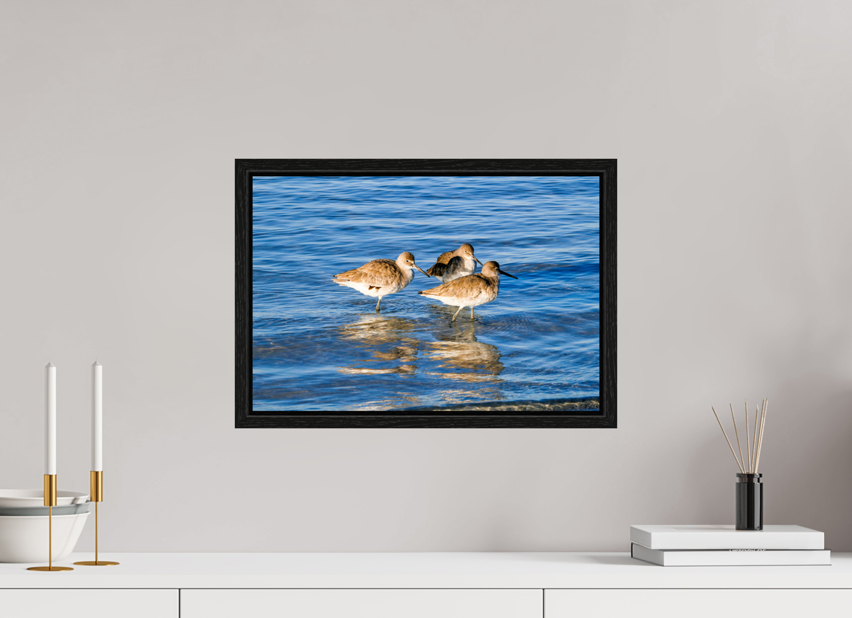 17.8 x 12″, Floater Frame, Basel 0.6", Black Oak, Glossy Acrylic Glass The Shoreline Trio: Willets in the Surf