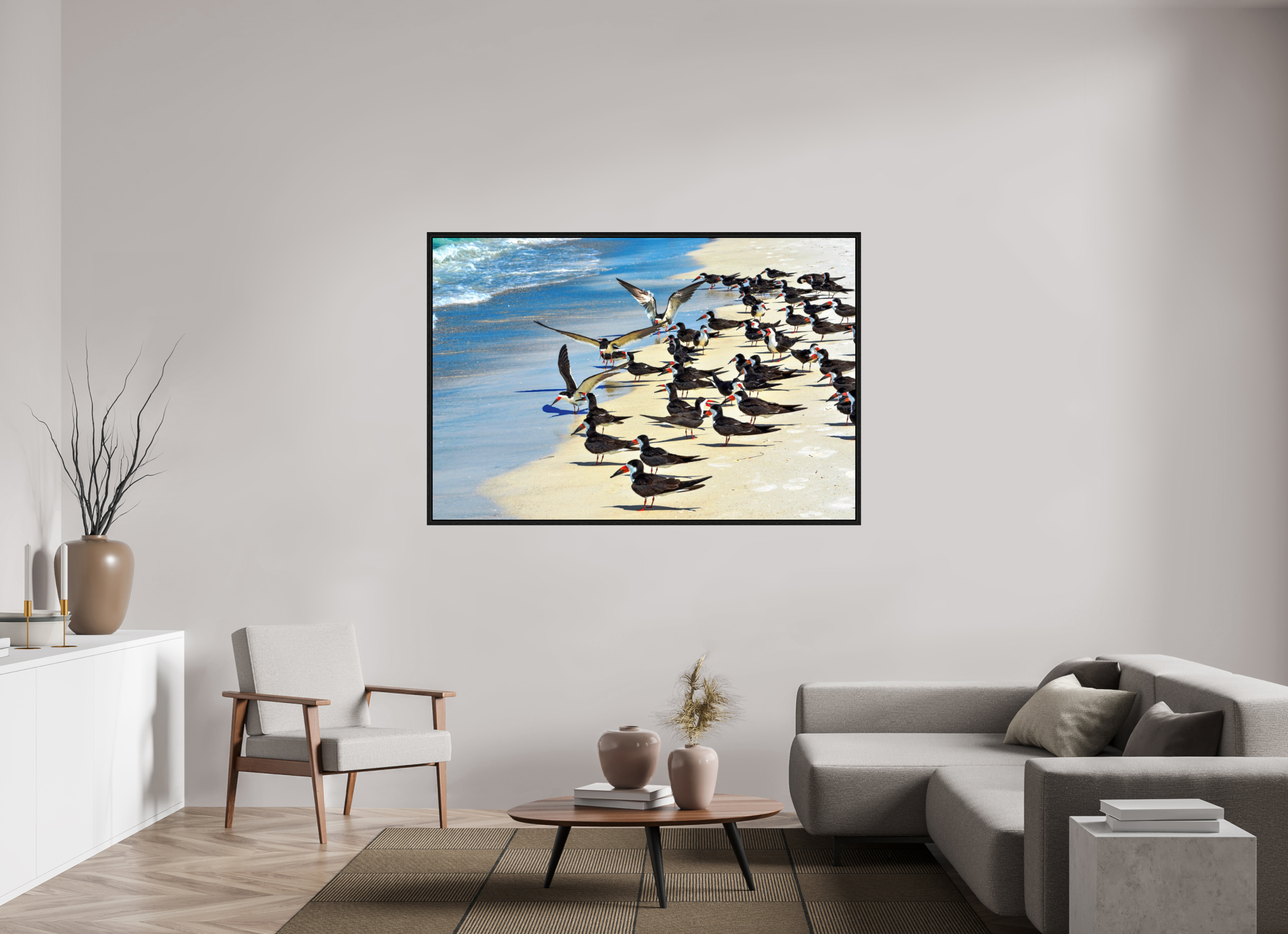66 x 44″, Floater Frame, Basel 0.6", Black Oak, Glossy Acrylic Glass Shoreline Social: Black Skimmer Colony
