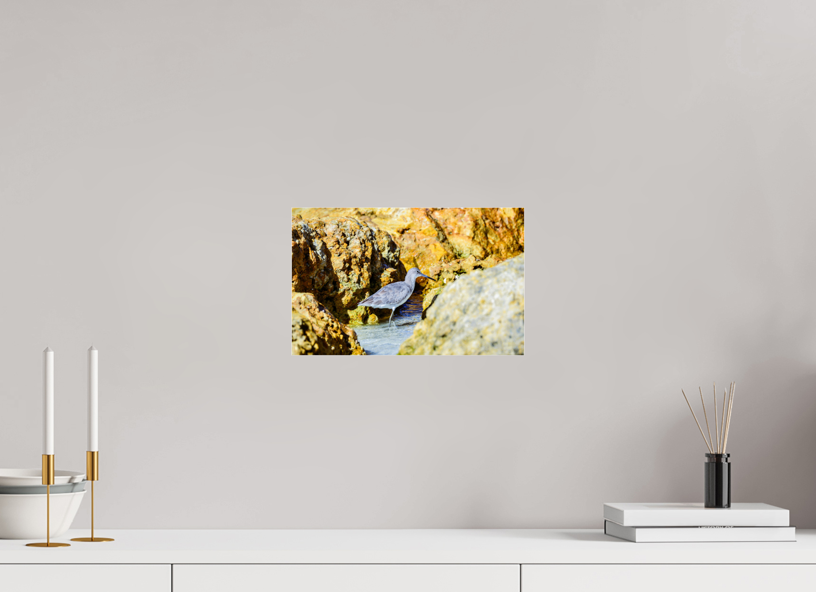 12.6 x 8″, Metallic Photo Print Under Acrylic Glass The Hiding Willet
