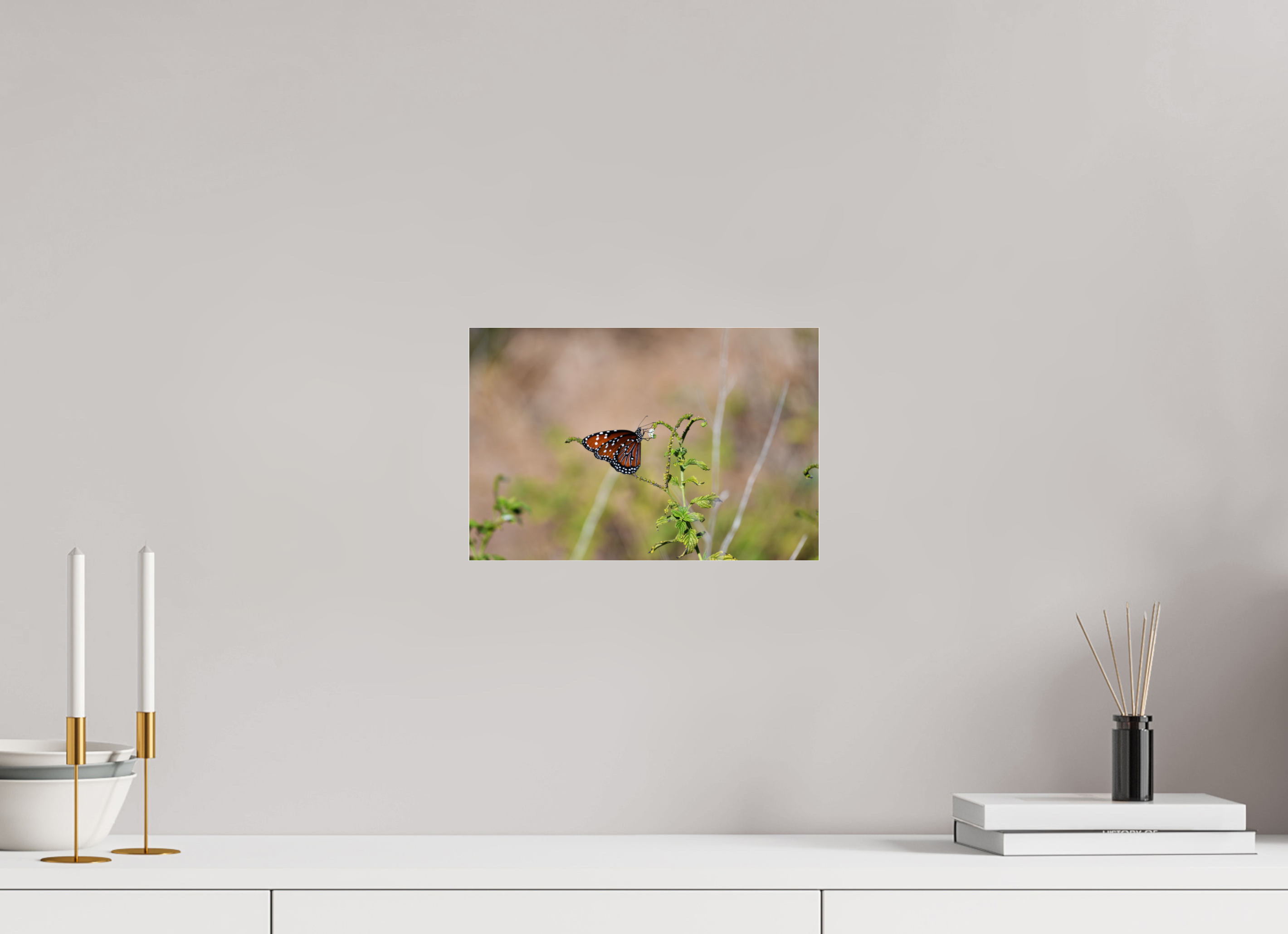 12 x 8″, Photo Print Under Acrylic Glass Queen Butterfly