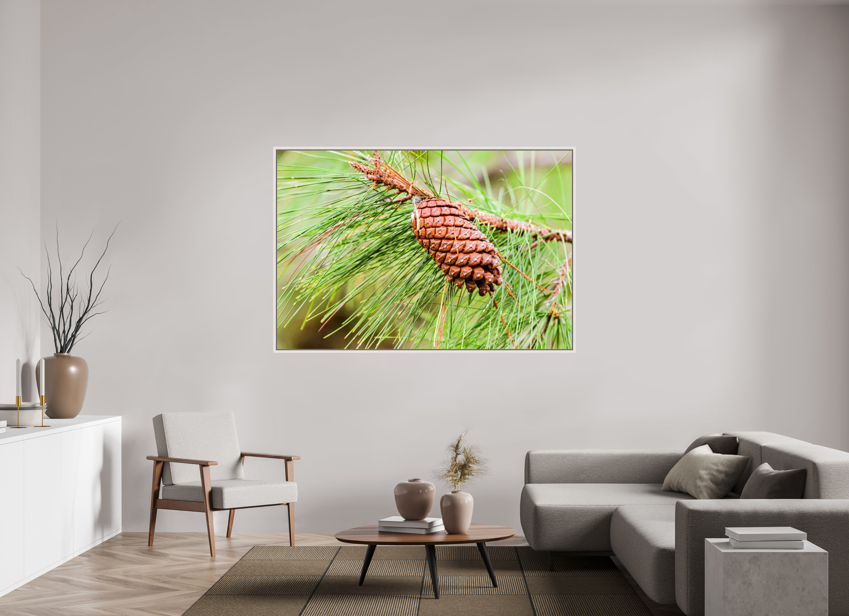 69.8 x 47″, Floater Frame, Basel 0.6", Maple White, Glossy Acrylic Glass The Longleaf Pine Cone