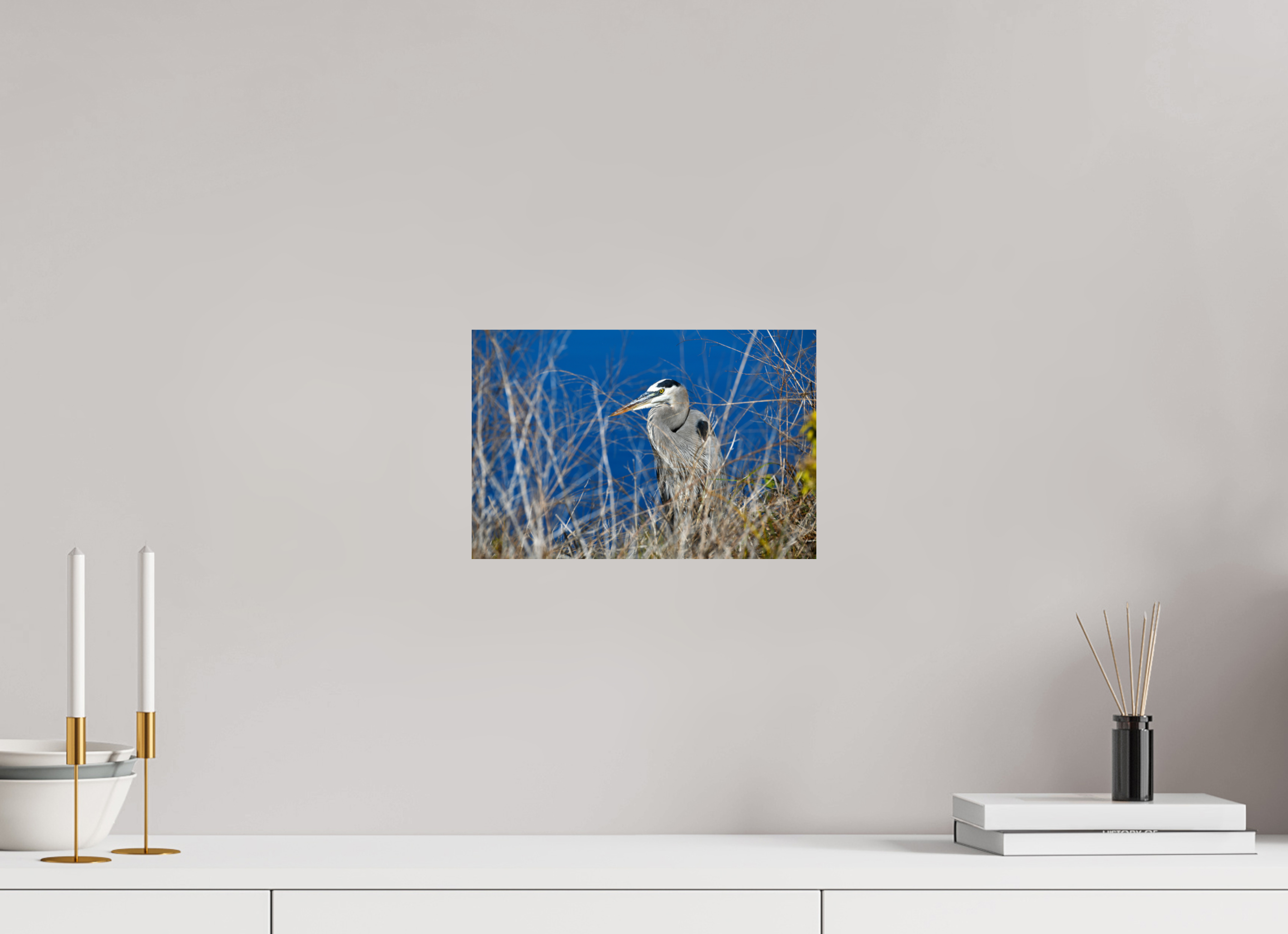 12 x 8″, Photo Print On Fuji Crystal DP II Hidden Majesty: Great Blue Heron