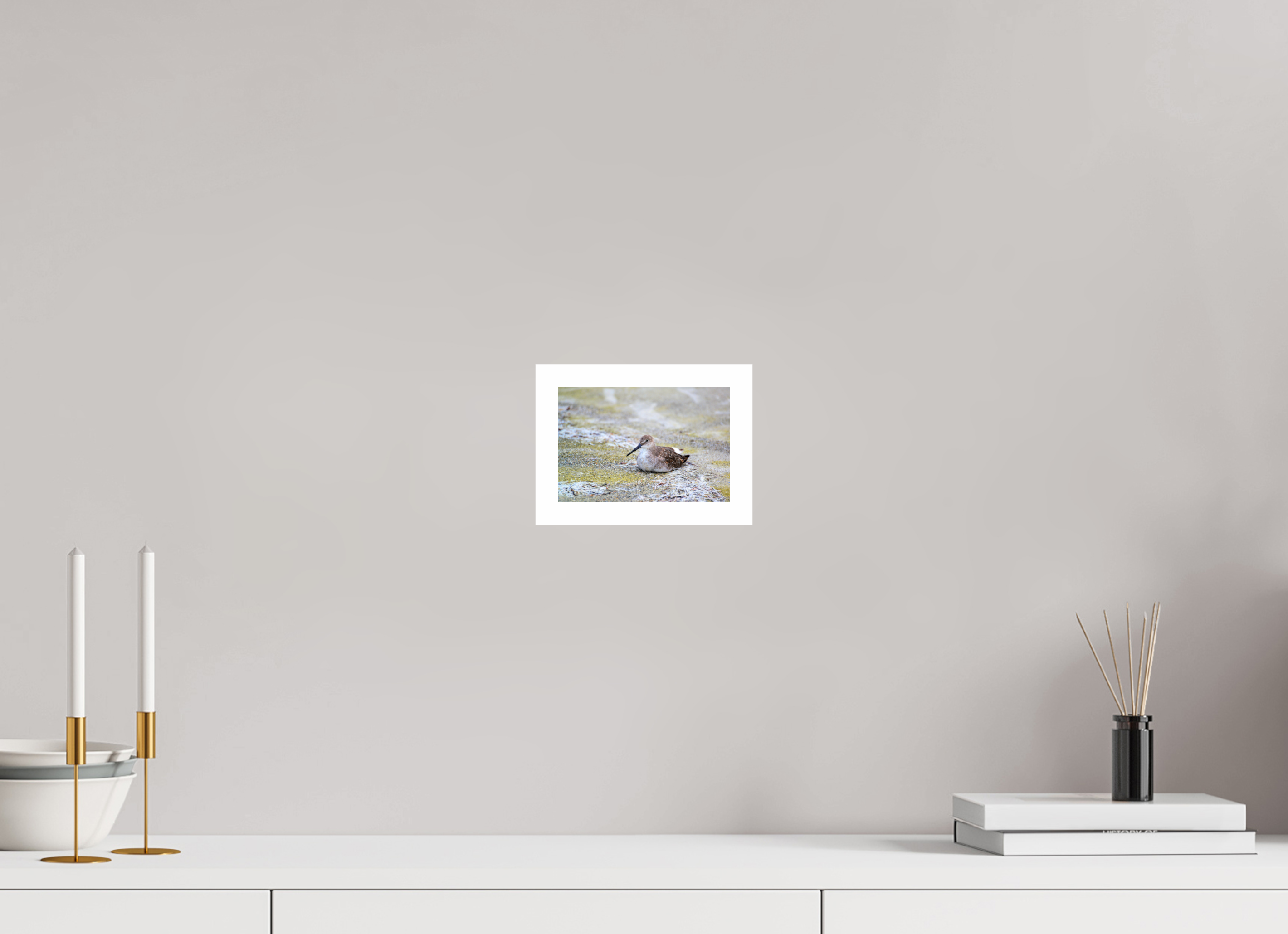 6 x 4″, Hahnemühle FineArt Pearl Print, .79" white border The Resting Willet