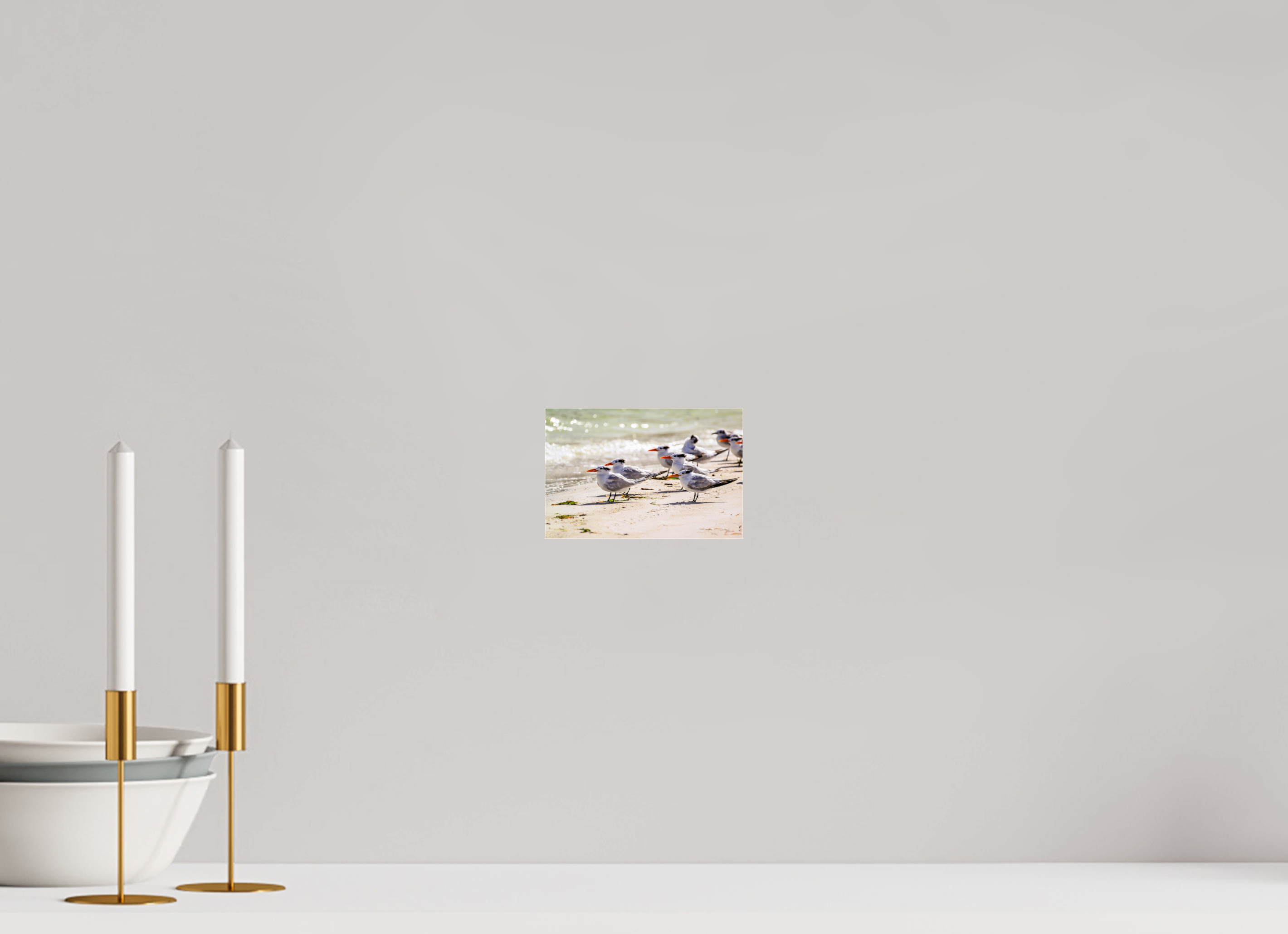 6.1 x 4″, Photo Print Under Acrylic Glass Royal Gathering